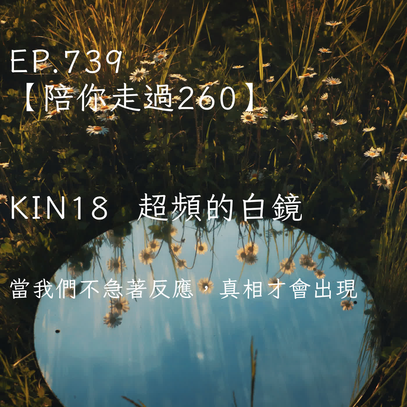 馬雅星球之旅｜EP739－【陪你走過260】｜KIN 18  超頻的白鏡 ｜當我們不急著反應，真相才會出現。 episode artwork