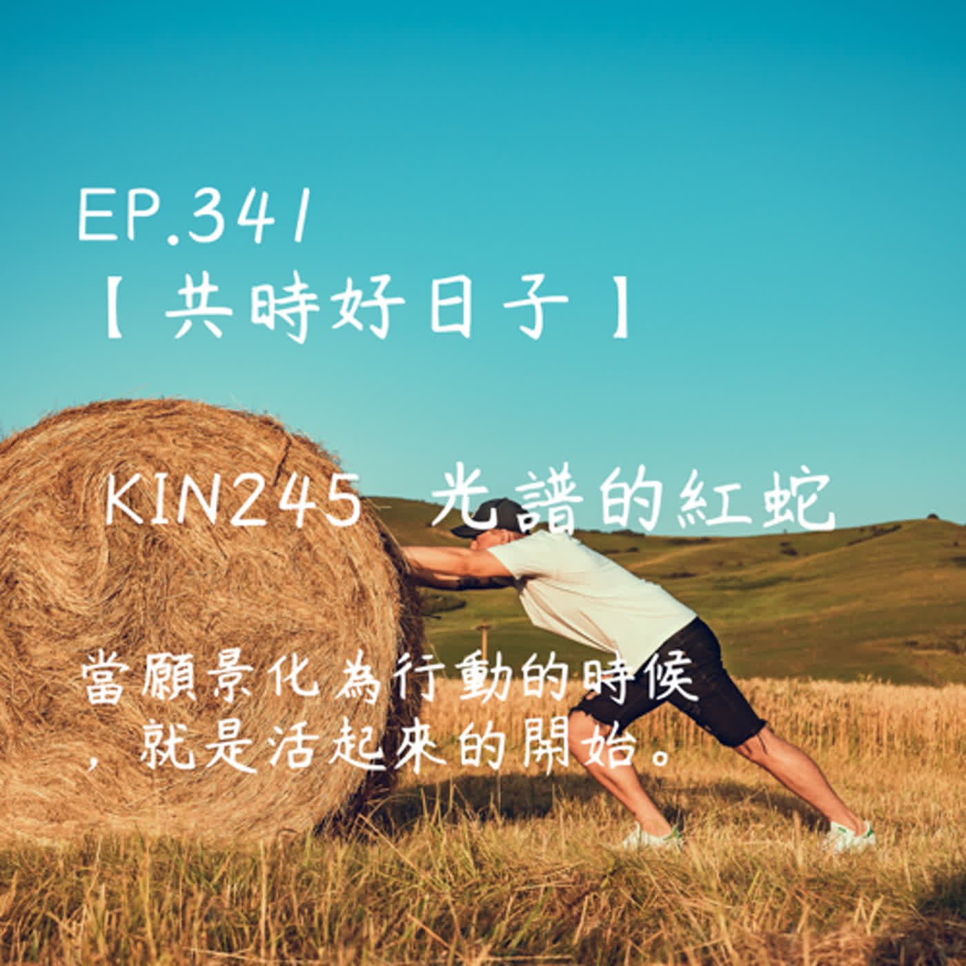 馬雅星球之旅｜EP341－【共時好日子】-KIN245光譜的紅蛇-當願景化為行動的時候，就是活起來的開始。 episode artwork