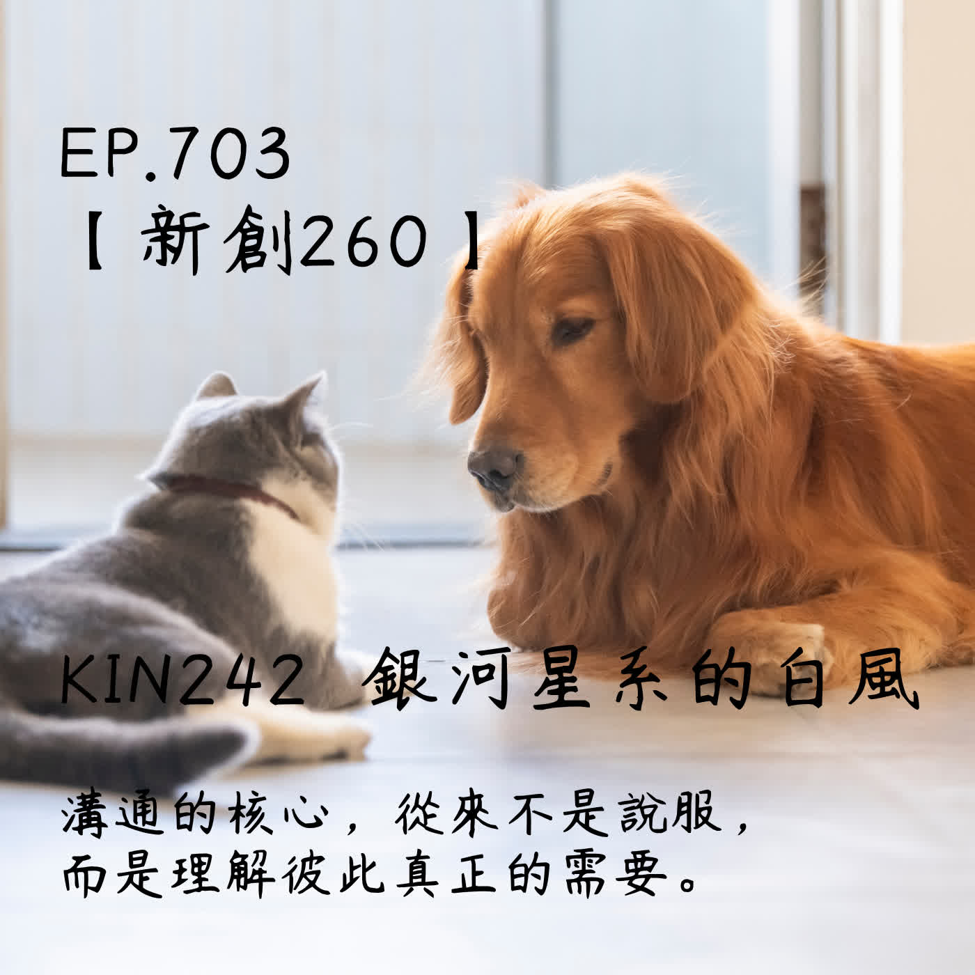 馬雅星球之旅｜EP703－【新創260】-KIN242銀河星系的白風-溝通的核心，從來不是說服，而是理解彼此真正的需要。 episode artwork