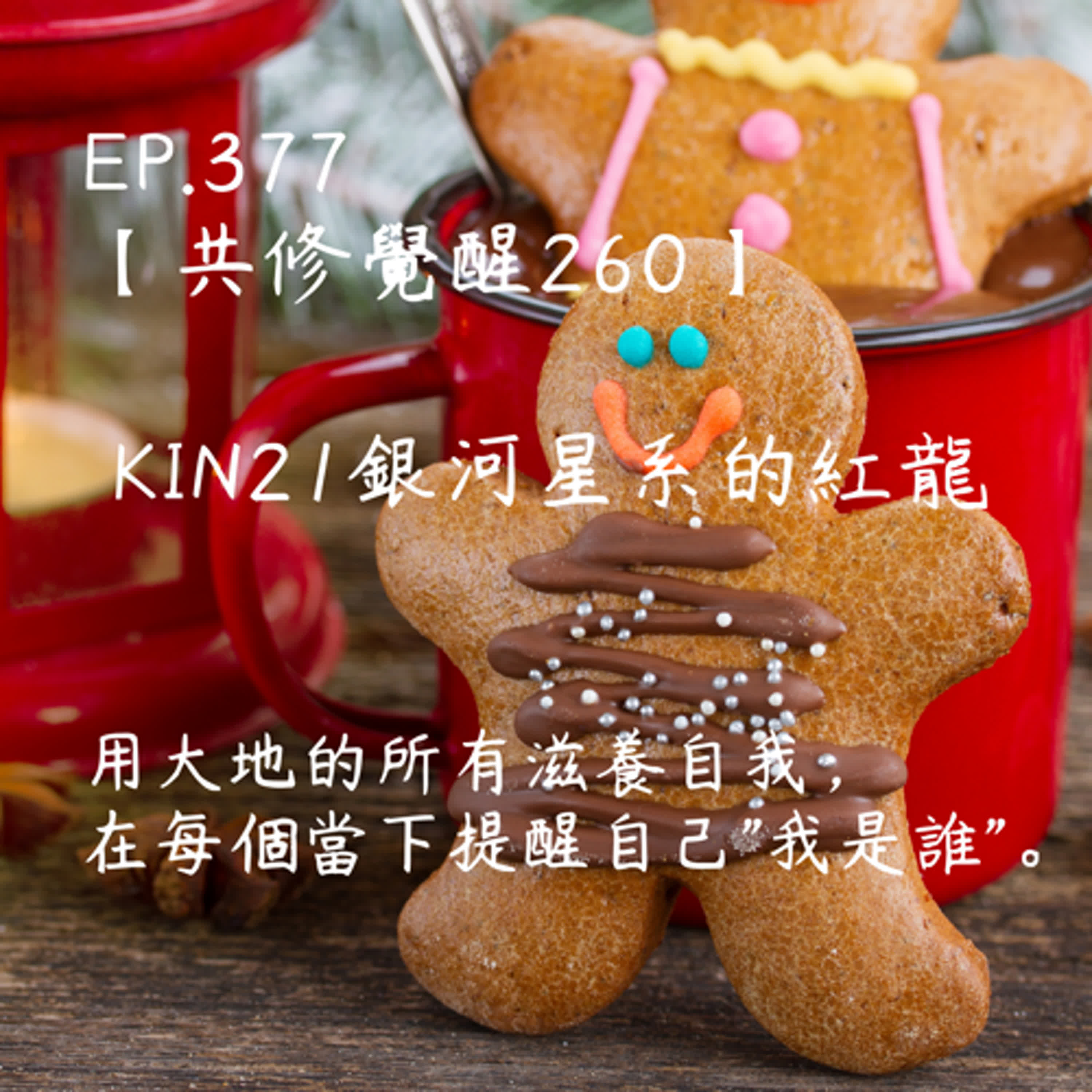 馬雅星球之旅｜EP377－【共修覺醒260】-KIN21銀河星系的紅龍-用大地的所有滋養自我，在每個當下提醒自己"我是誰"。 episode artwork