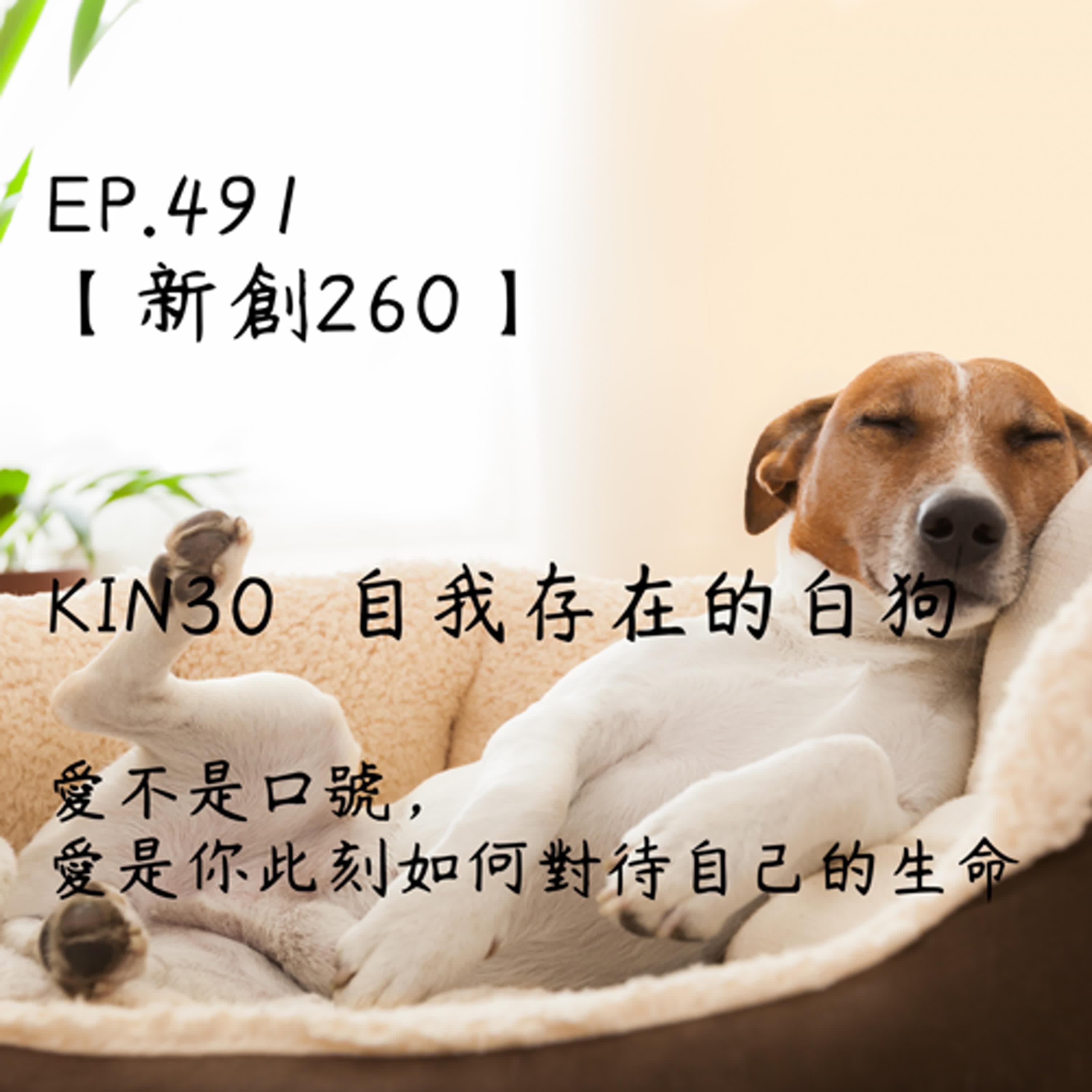馬雅星球之旅｜EP491－【新創260】-KIN30自我存在的白狗-愛不是口號，  愛是你此刻如何對待自己的生命。 episode artwork