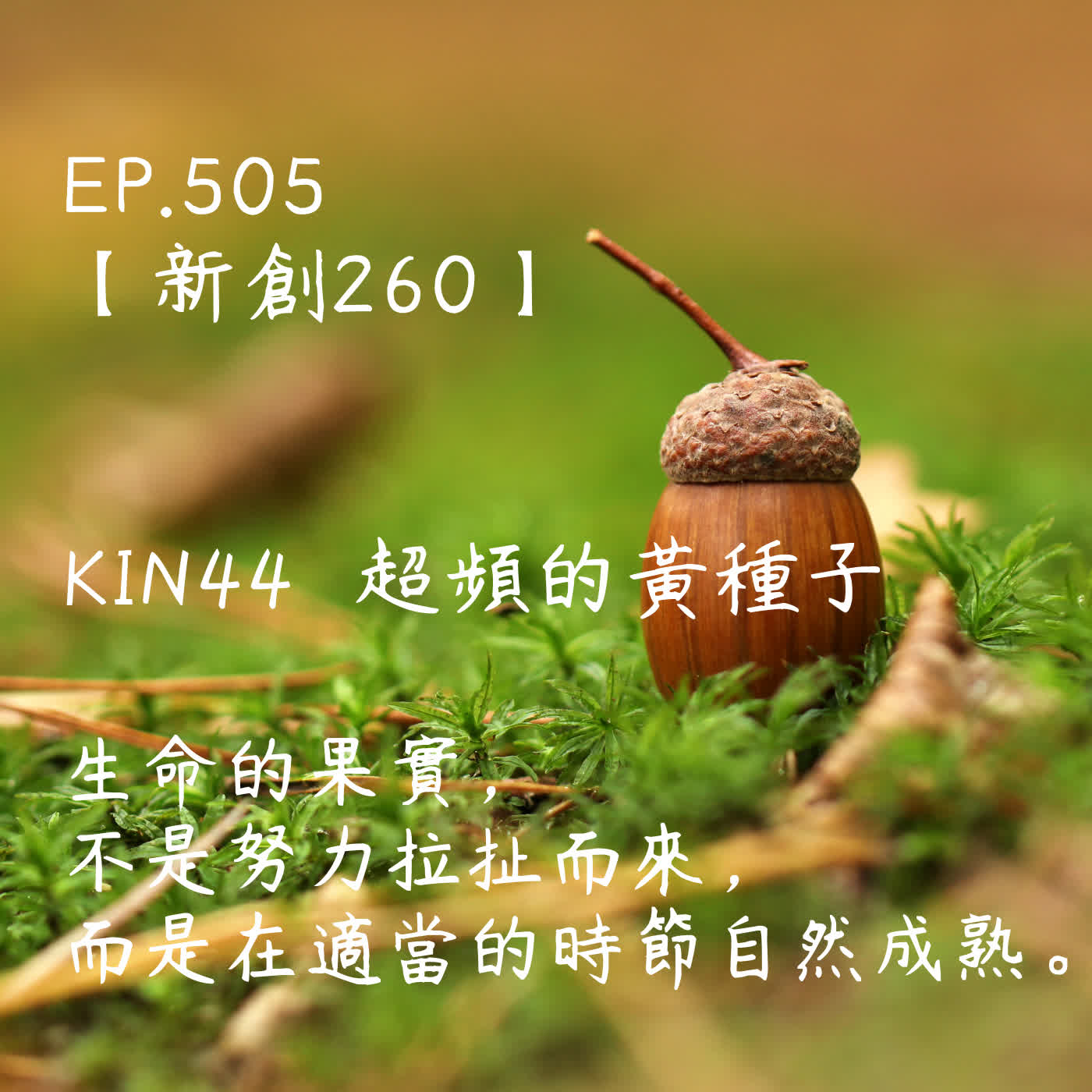 馬雅星球之旅|EP505-【新創260】-KIN44超頻的黃種子-生命的果實,不是努力拉扯而來,而是在適當的時節自然成熟。 馬雅星球之旅|EP505-【新創260】-KIN44超頻的黃種子-生命的果實,不是努力拉扯而來,而是在適當的時節自然成熟。