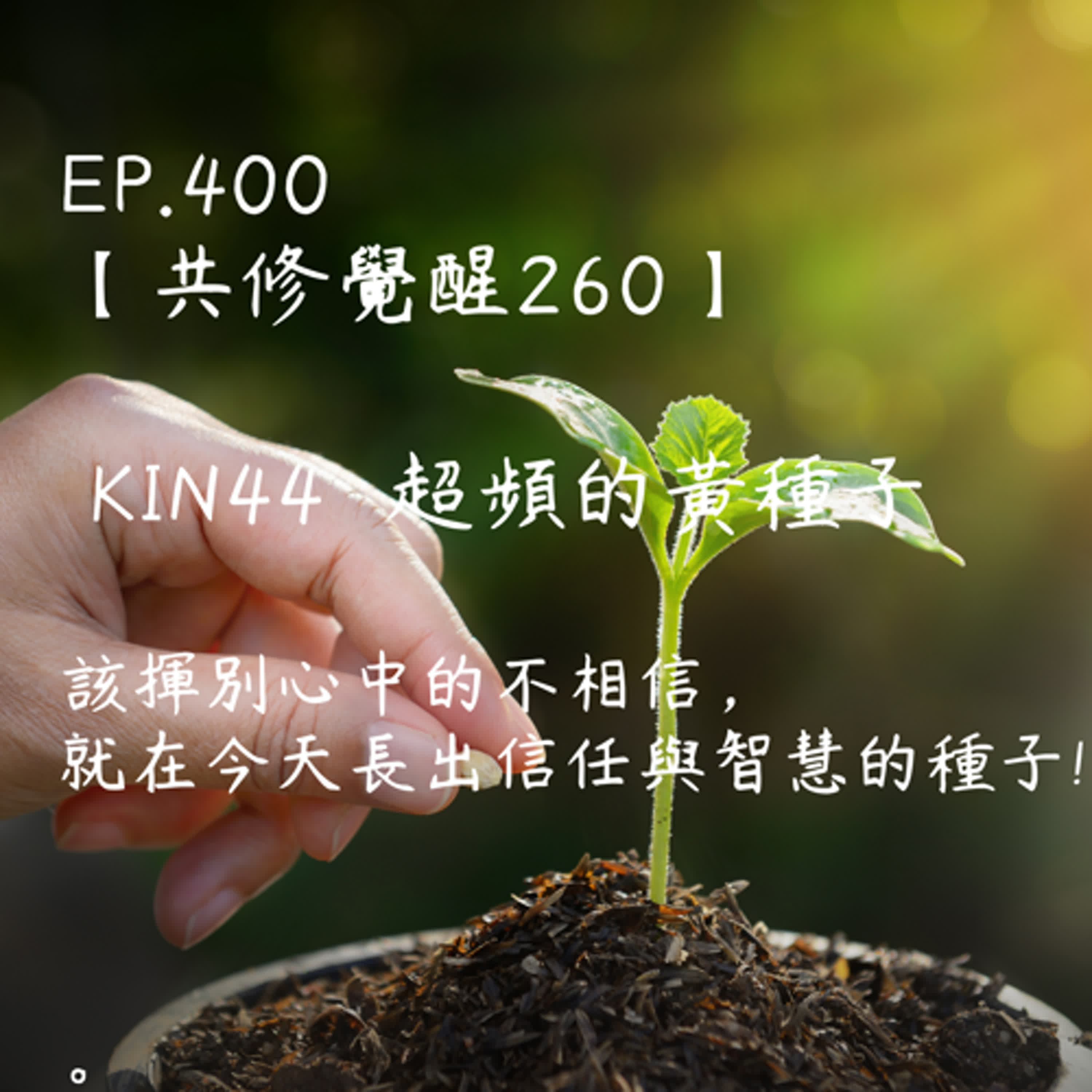 馬雅星球之旅｜EP400－【共修覺醒260】-KIN44超頻的黃種子-該揮別心中的不相信，就在今天長出信任與智慧的種子! episode artwork