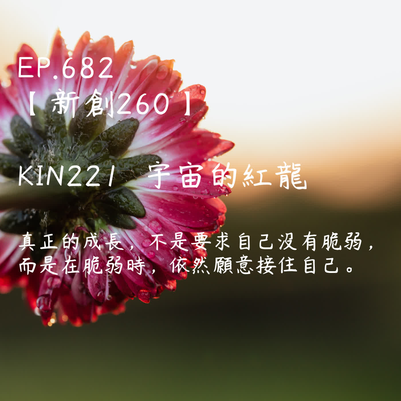 馬雅星球之旅｜EP682－【新創260】-KIN221宇宙的紅龍-真正的成長，不是要求自己沒有脆弱， 而是在脆弱時，依然願意接住自己。 episode artwork