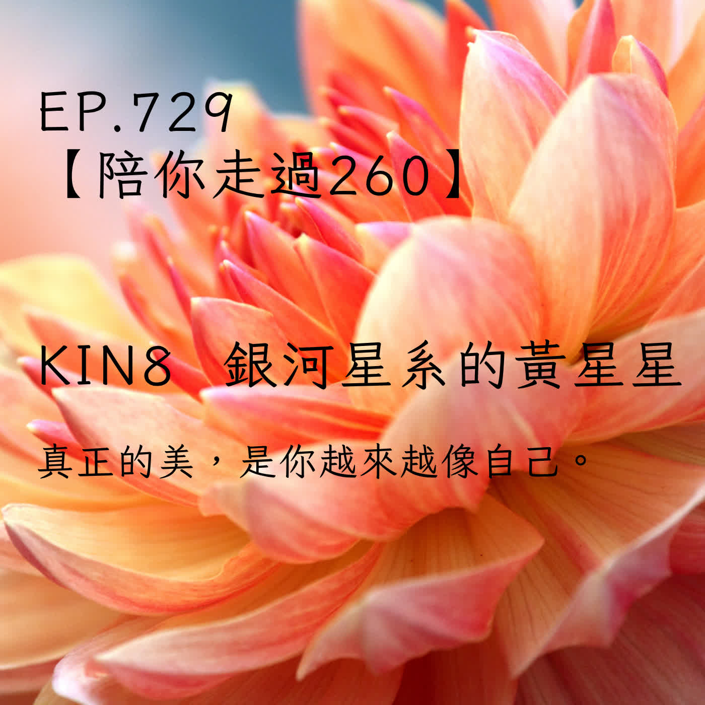 馬雅星球之旅｜EP729－【陪你走過260】｜KIN 8 銀河星系的黃星星 ｜真正的美，是你越來越像自己。 episode artwork