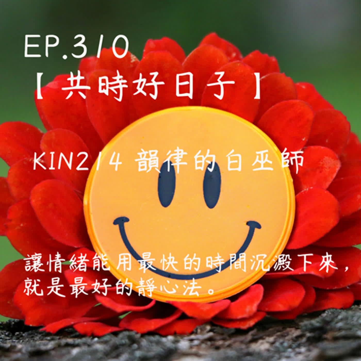 馬雅星球之旅｜EP310－【共時好日子】-KIN214韻律的白巫師。讓情緒能用最快的時間沉澱下來，就是最好的靜心法。 episode artwork