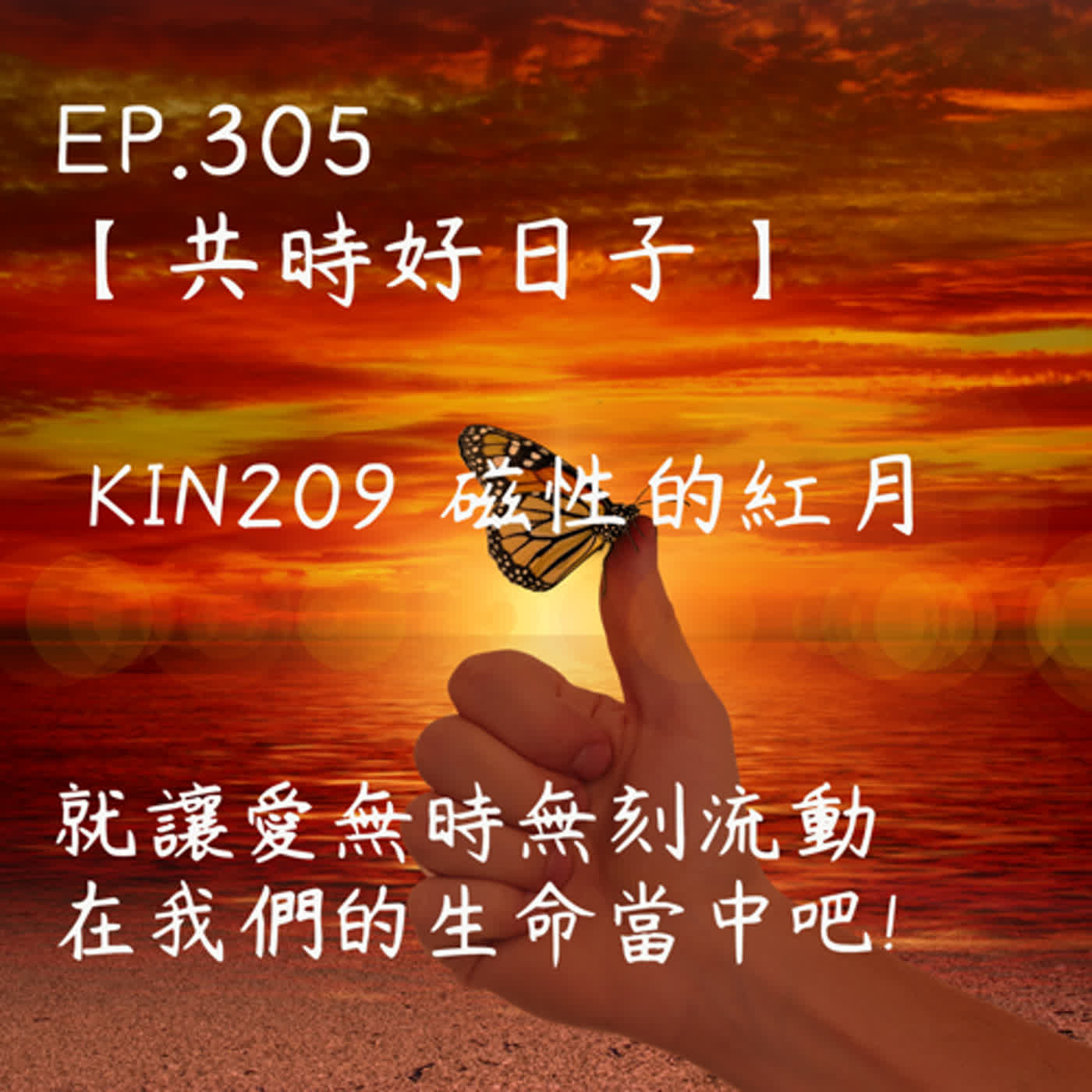 馬雅星球之旅｜EP305－【共時好日子】-KIN209磁性的紅月。請讓愛無時無刻流動在我們的生命當中吧! episode artwork