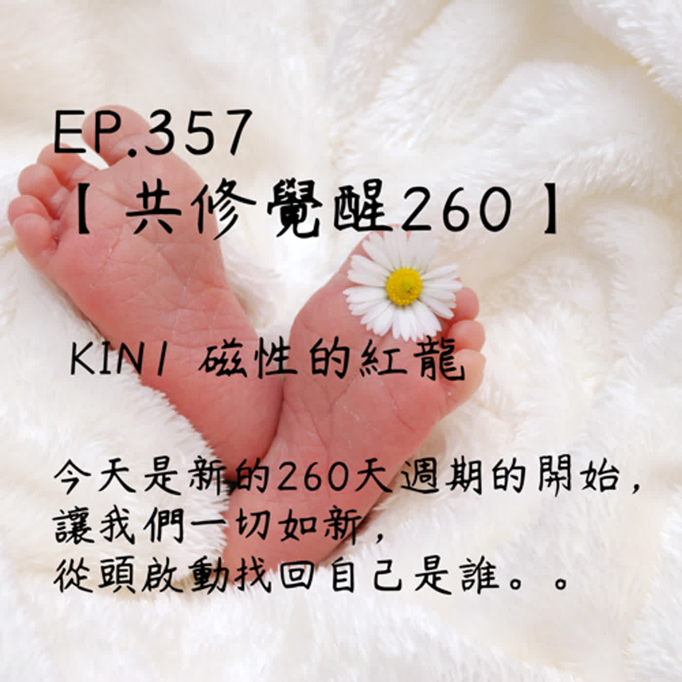 馬雅星球之旅｜EP357－【共修覺醒260】-KIN1磁性的紅龍－今天是新的260天週期的開始，讓我們一切如新，從頭啟動找回自己是誰。 episode artwork