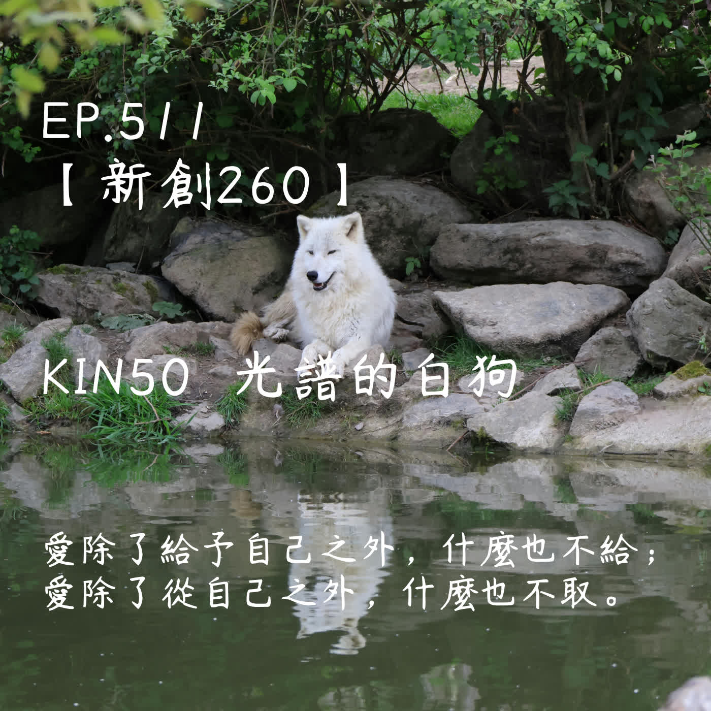 馬雅星球之旅｜EP511－【新創260】-KIN50光譜的白狗-愛除了給予自己之外，什麼也不給； 愛除了從自己之外，什麼也不取。