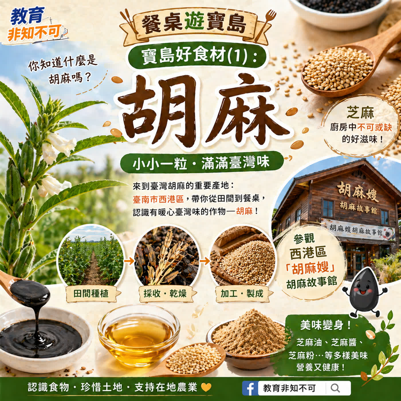 教育非知不可-餐桌遊寶島｜寶島好食材 (1)： 胡麻