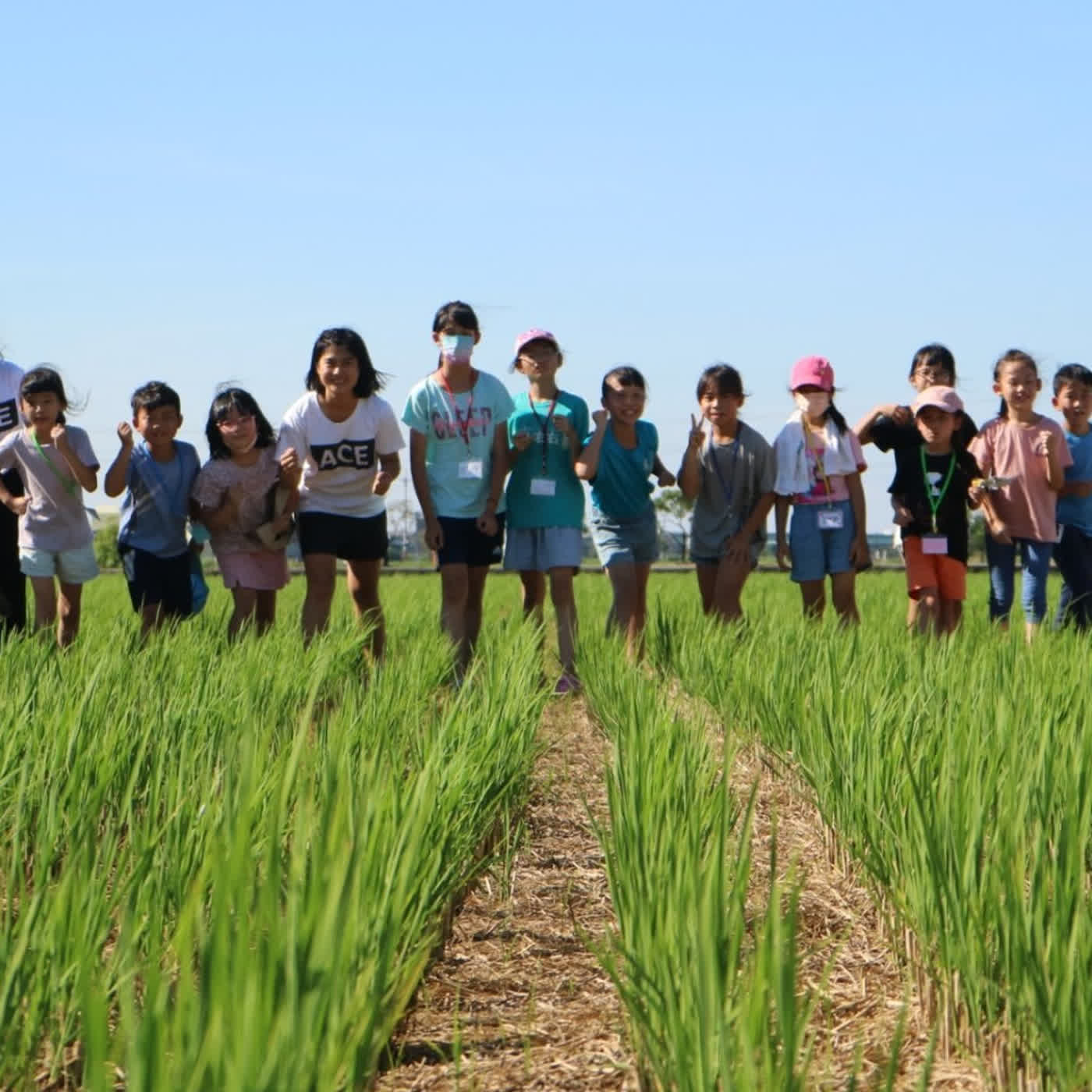 🎧 教育新亮點｜「島語實驗室」將文化佉轉來，讓大埤精神起來