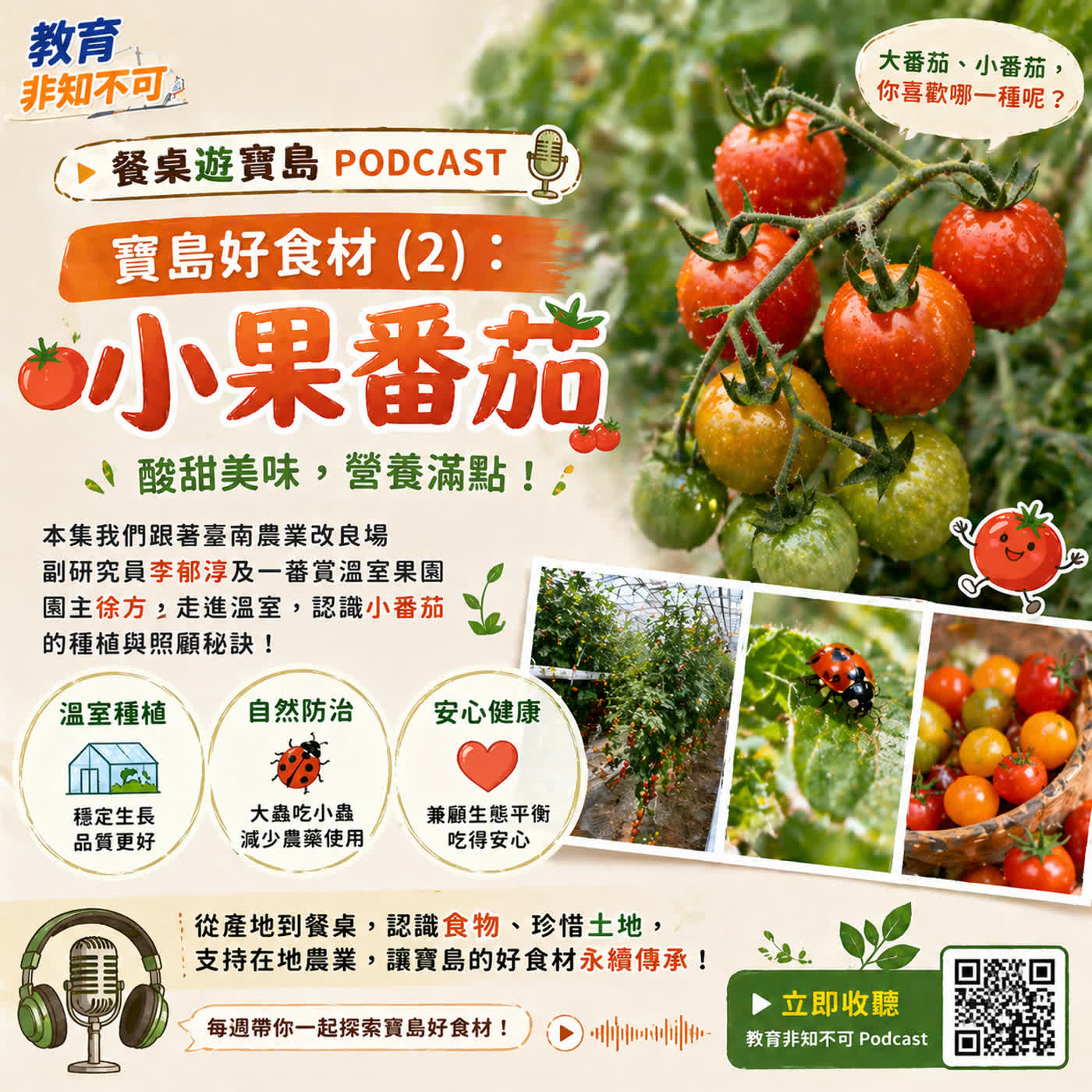 教育非知不可-餐桌遊寶島|🍅 寶島好食材 (2):小果番茄