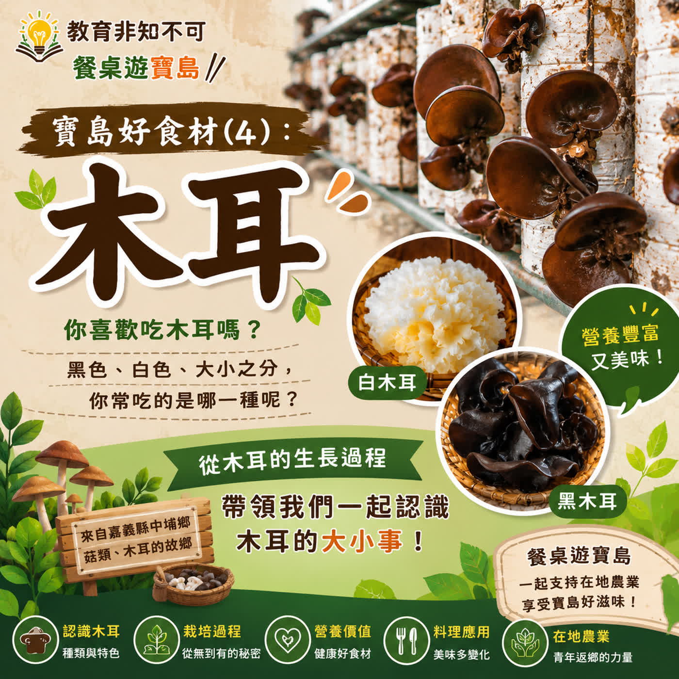教育非知不可 餐桌遊寶島|🥢寶島好食材(4): 木耳|餐桌遊寶島