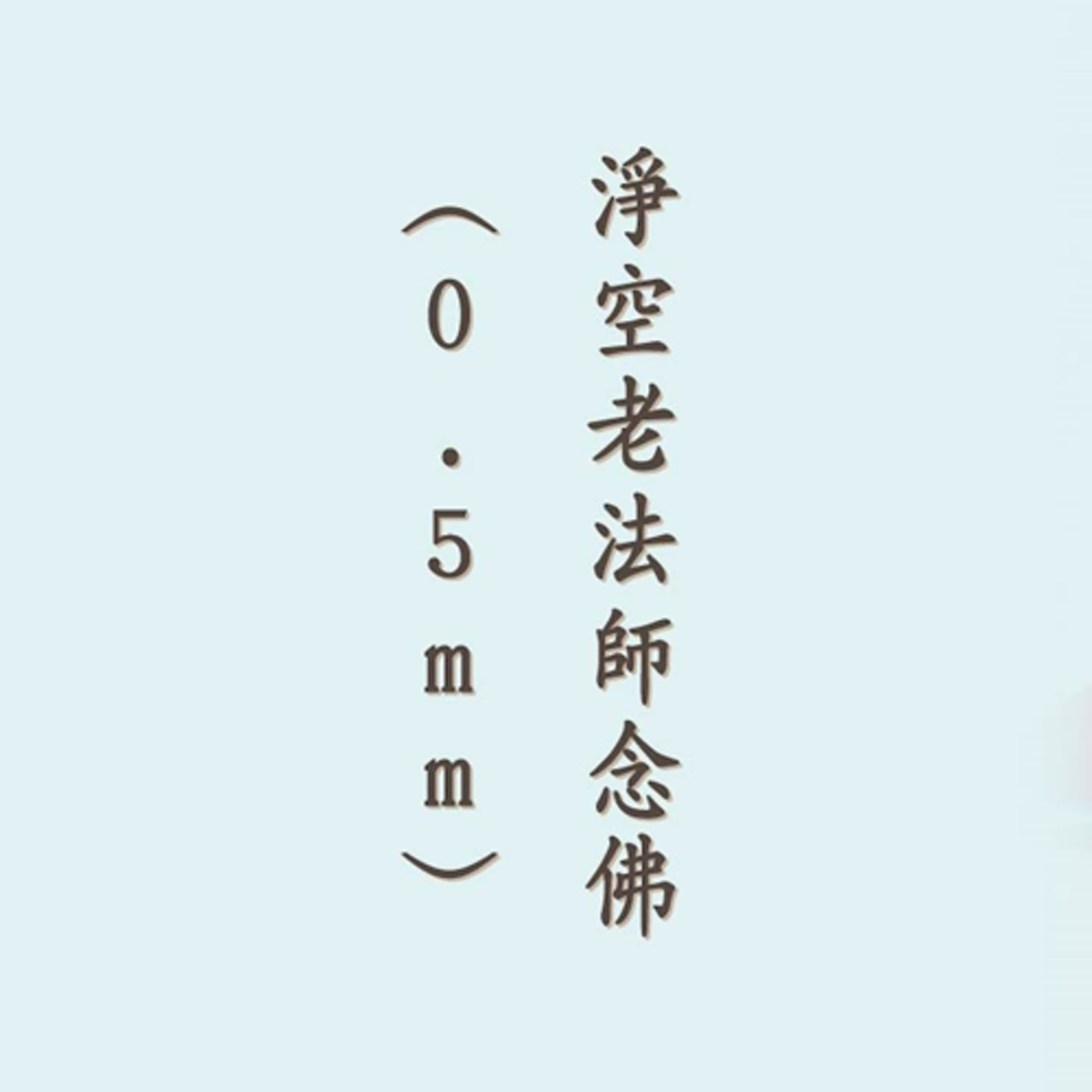 阿彌陀佛｜四字佛號｜淨空老法師念佛