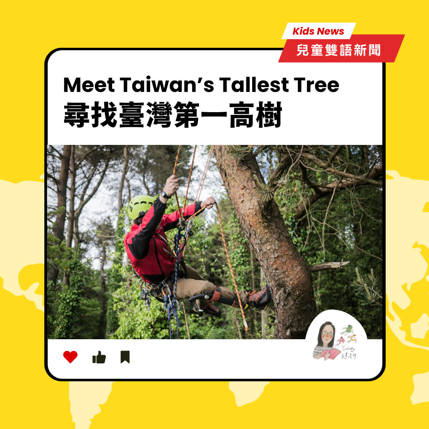 Ep244｜Kids News #32 兒童雙語新聞：尋找臺灣第一高樹 Meet Taiwan's Tallest Tree