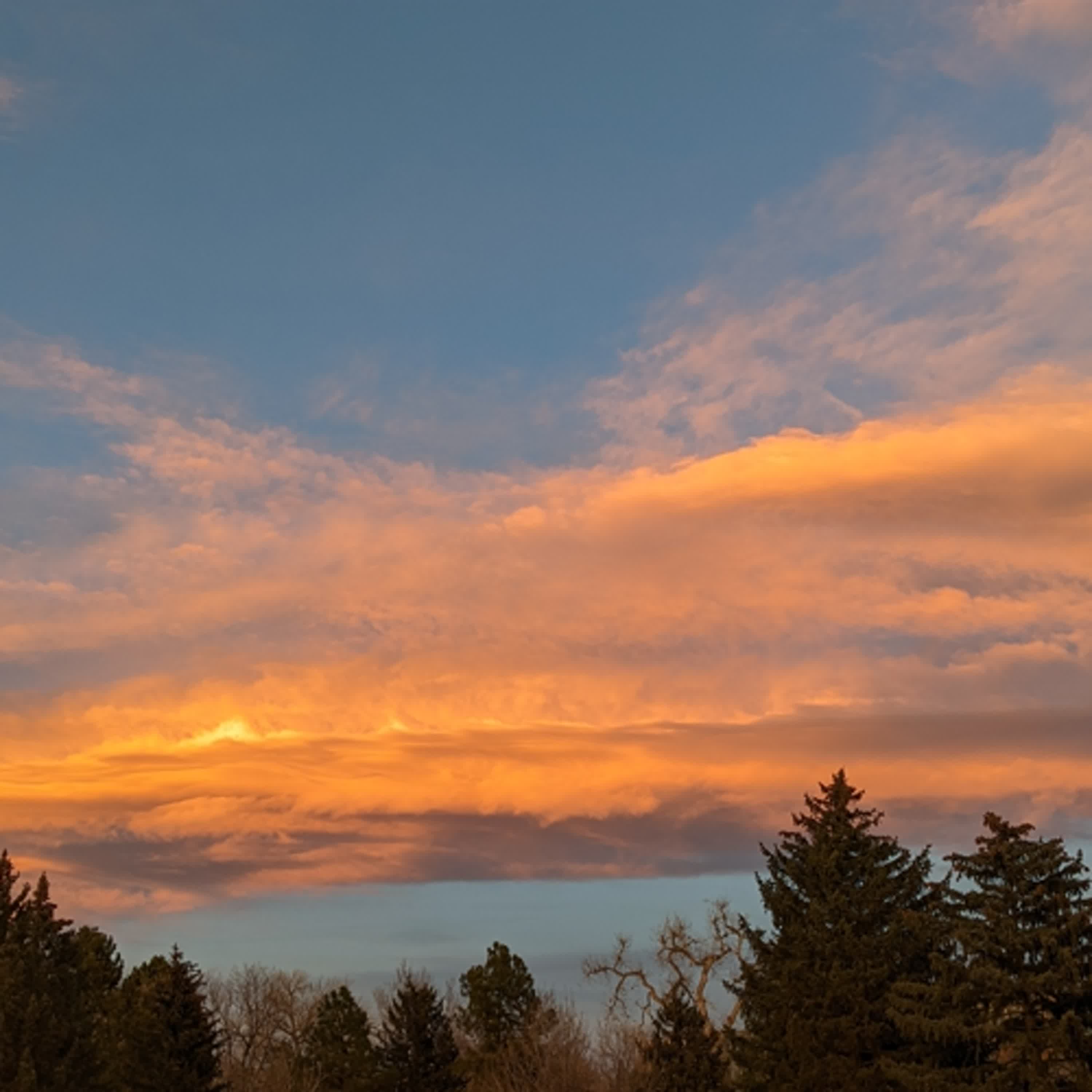 [茶時間] Ep111 近況報告｜Ping