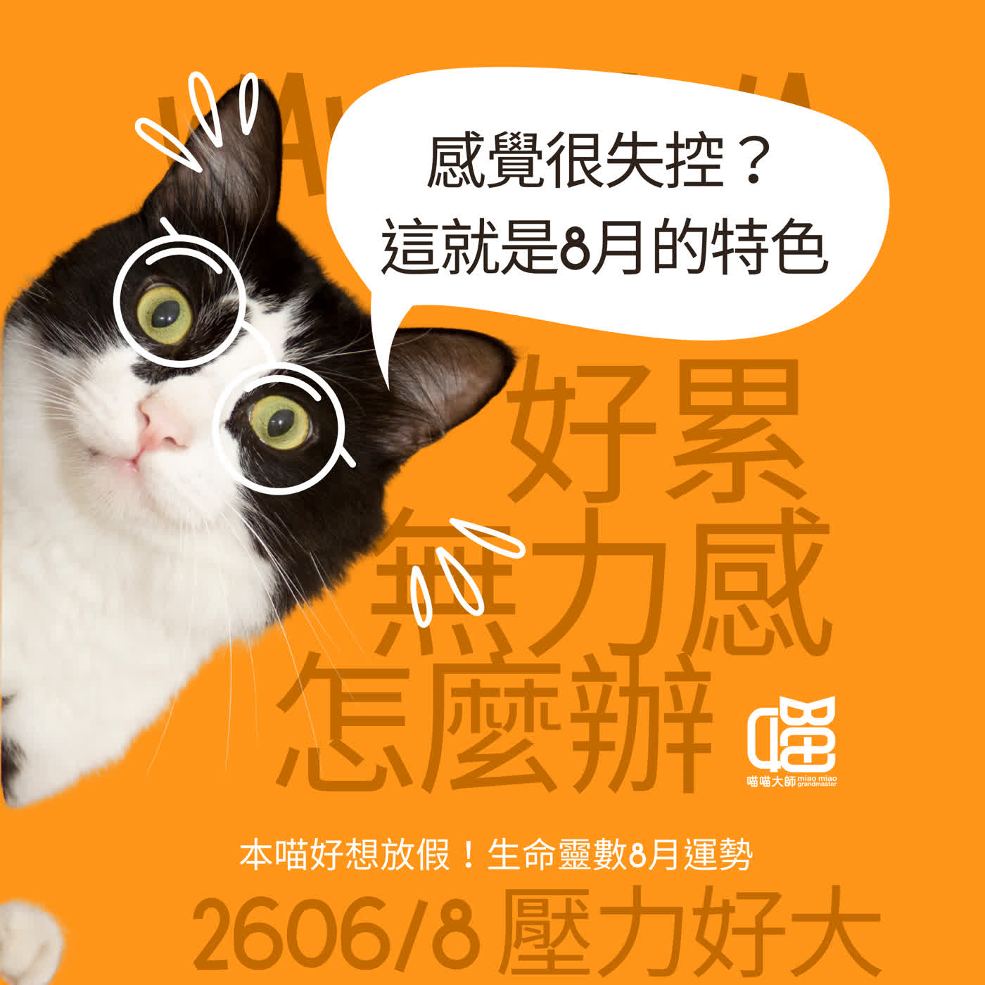 2026年8月靈數月運：發胖、發財、發？ 生命靈數月運勢 episode artwork
