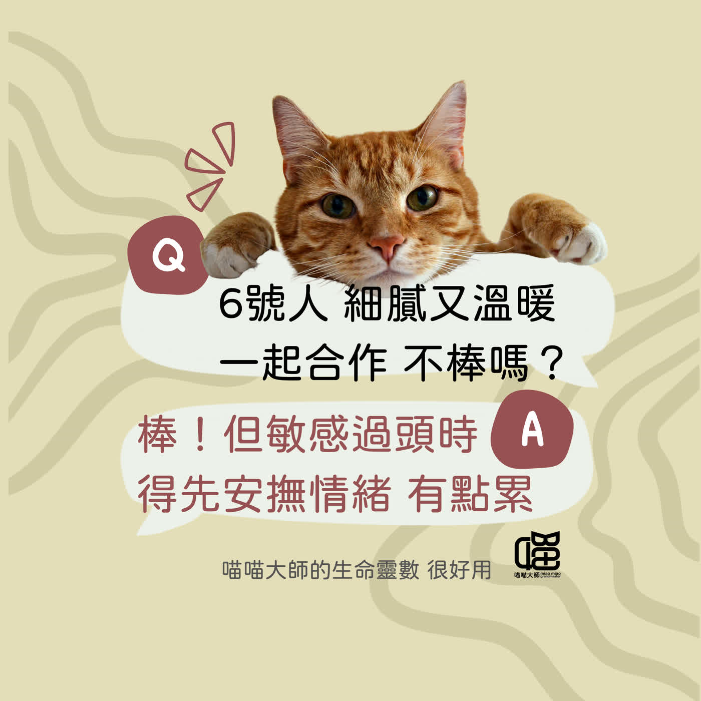 生命靈數6號人照顧大家忘了自己？這樣做，讓你的共情力不脆弱。喵喵大師 S22ep6 episode artwork