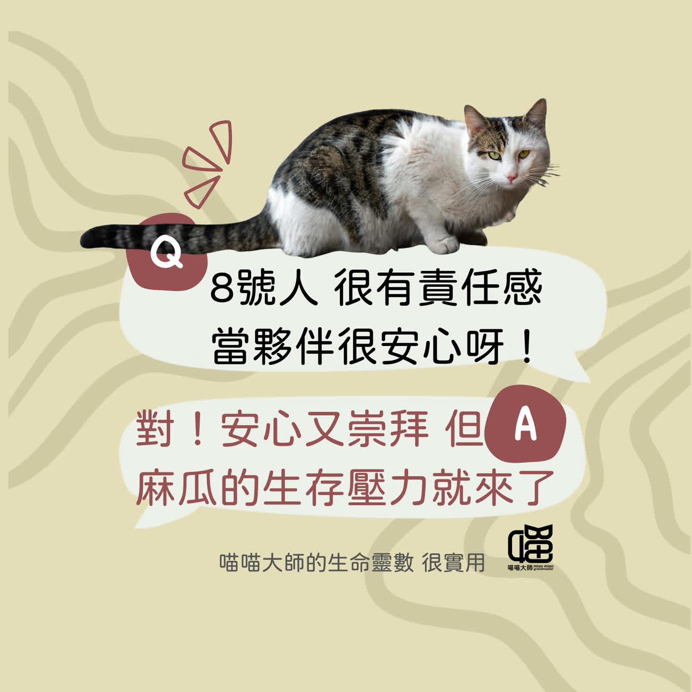 生命靈數8號人別當控制狂！讓人太安心，會累壞自己的。喵喵大師 S22ep8 episode artwork
