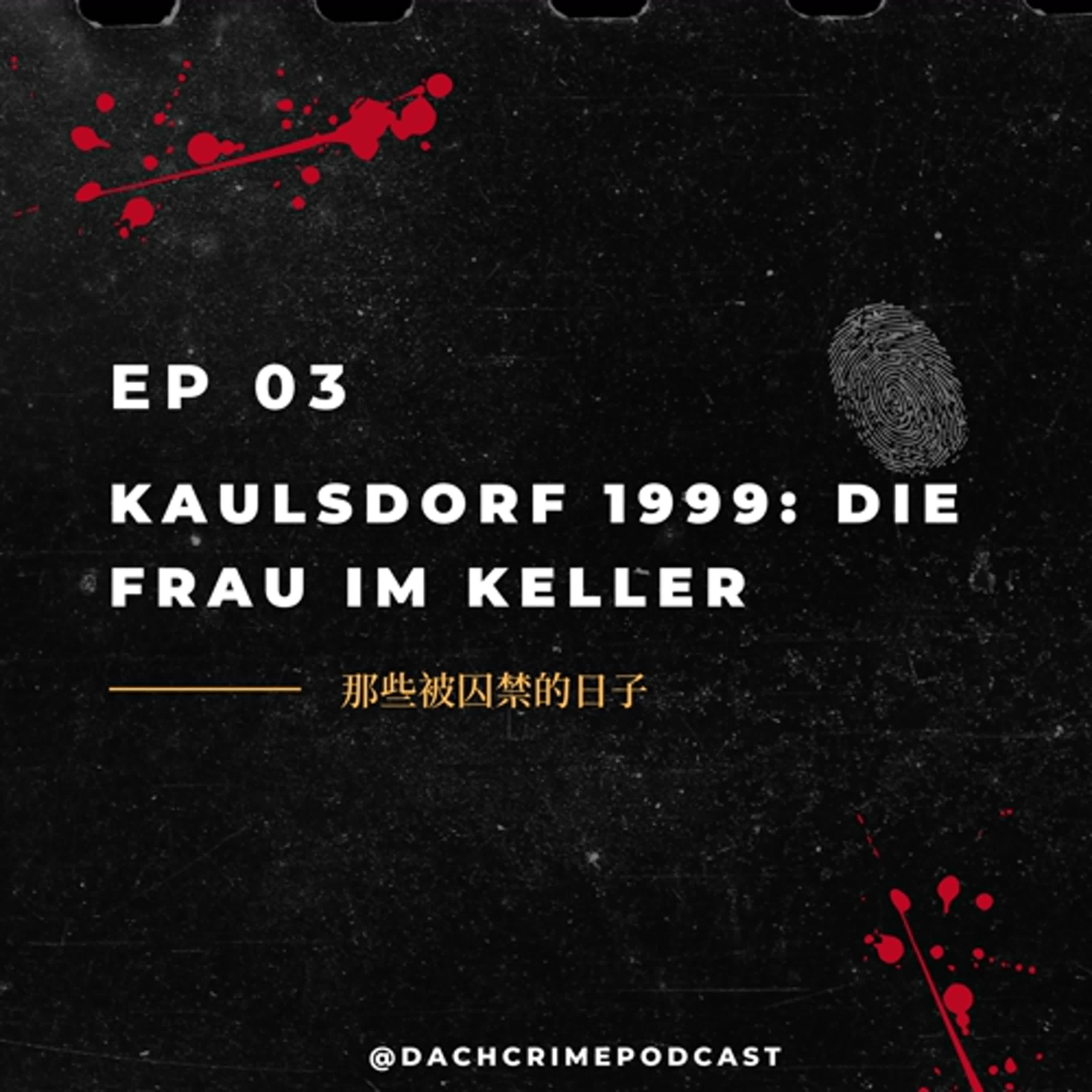 S8 EP3. 我被囚禁在地窖裡的那些日子｜Kaulsdorf 1999: Die Frau im Keller