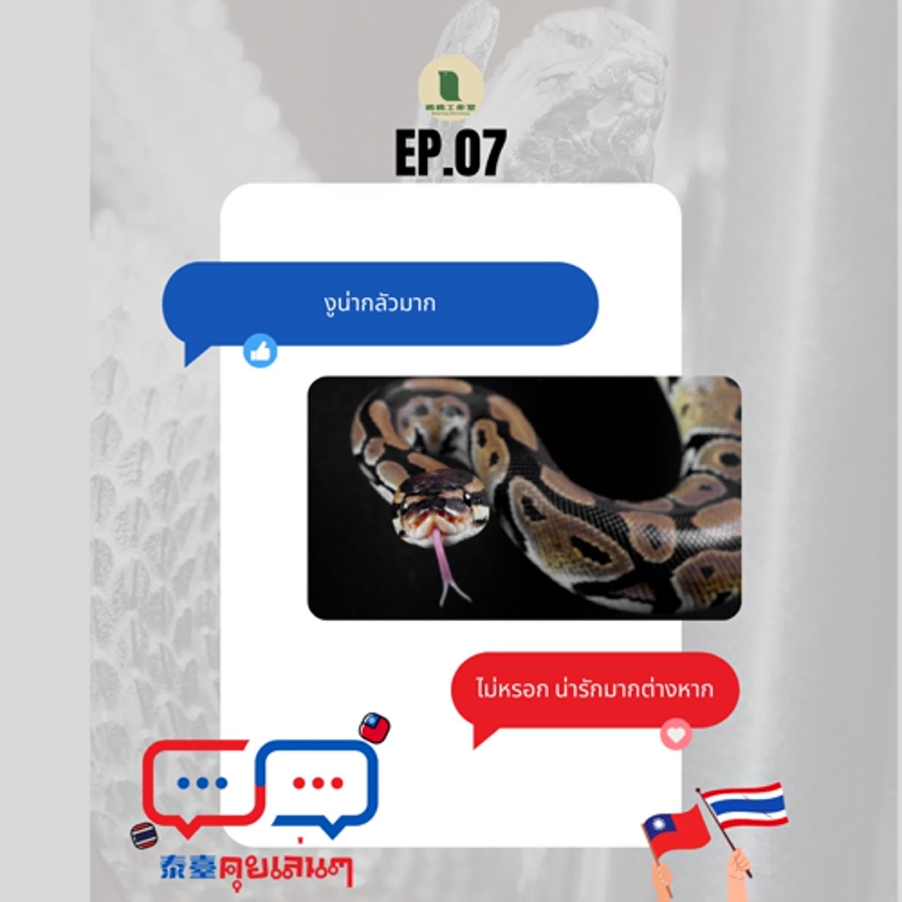 【泰臺คุยเล่นๆ】EP.07-蛇