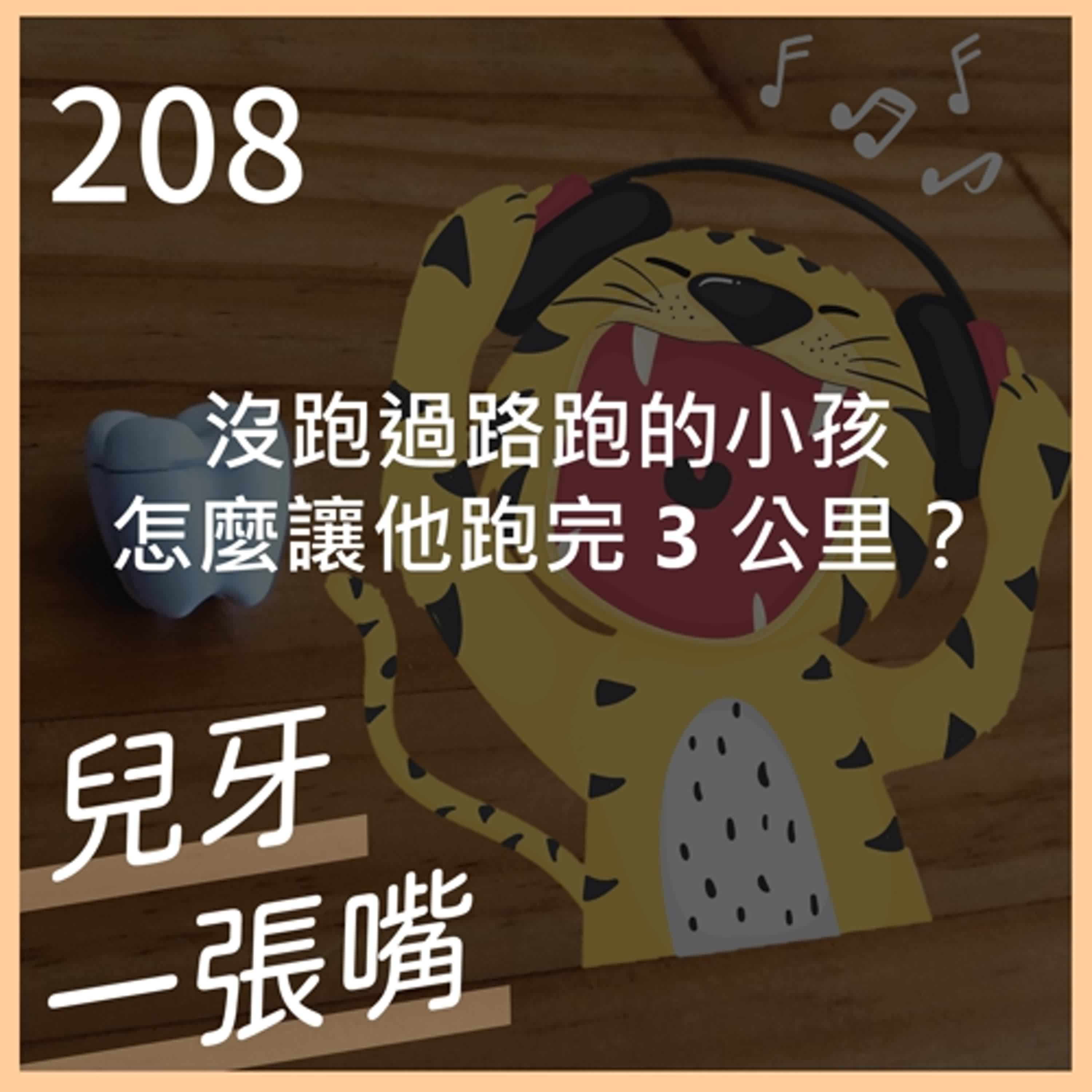 208 - 從路跑去看大小目標設定