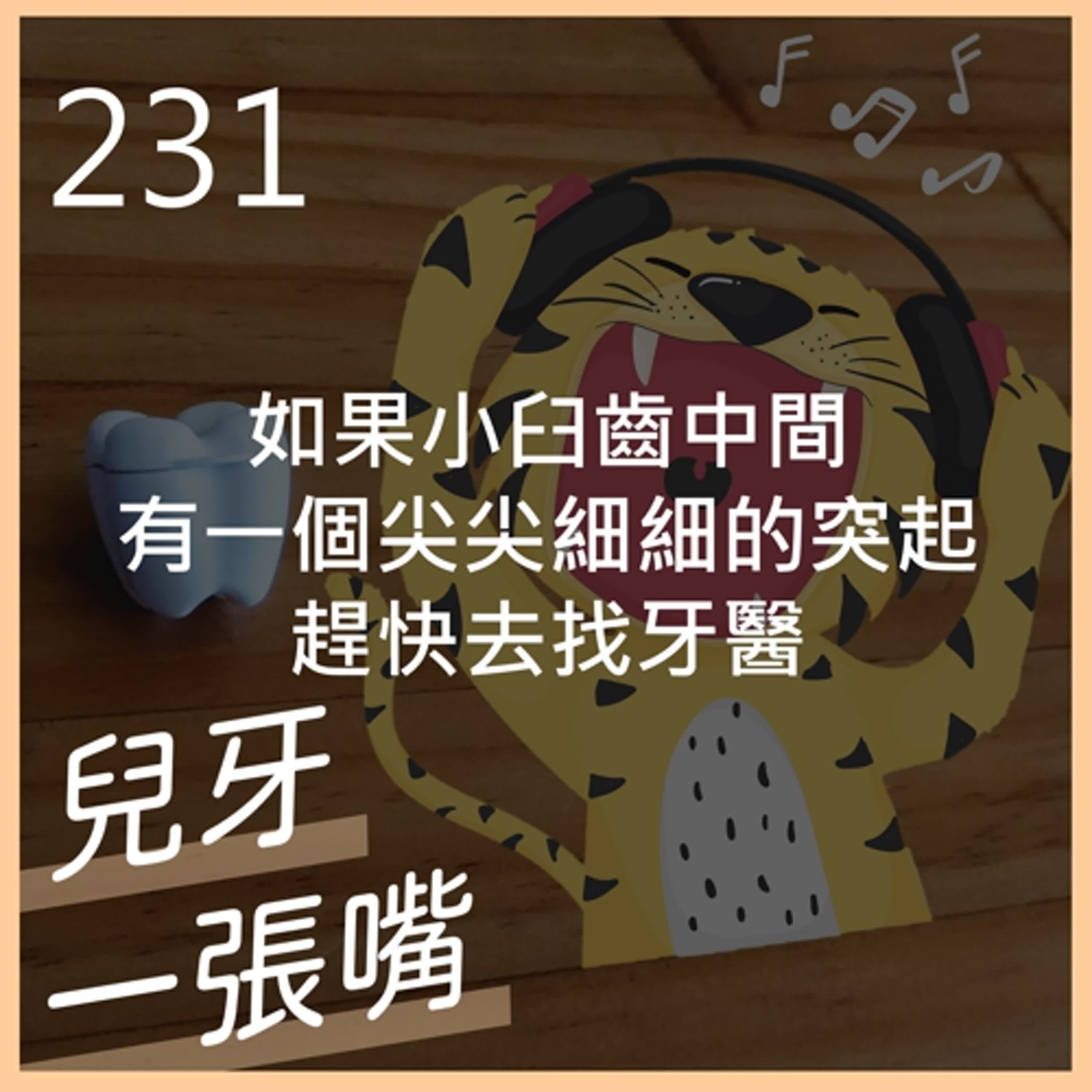 231 - 恆牙小臼齒中間有尖尖的中心咬頭