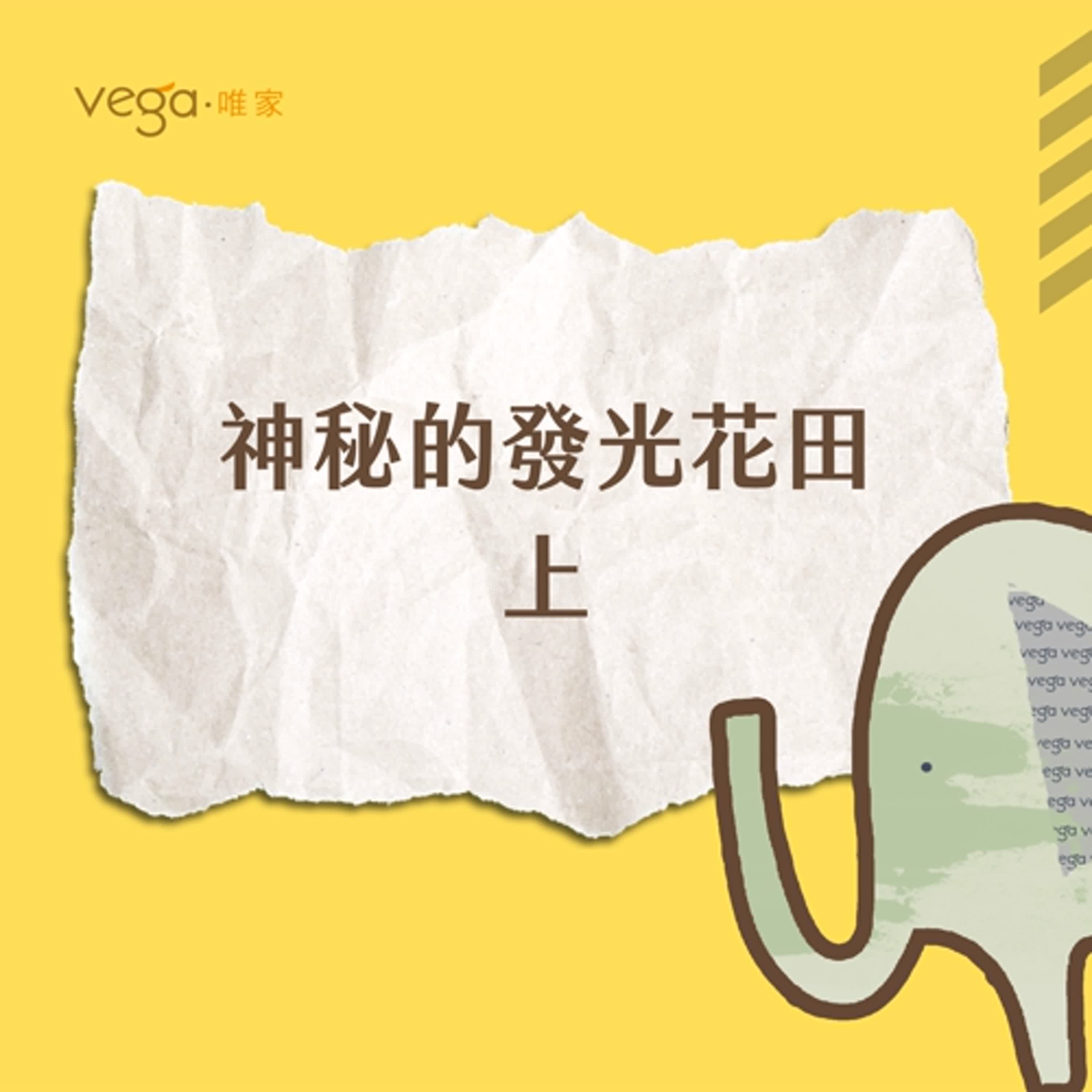 唯家VEGA×可以拿來當燈泡？｜神秘的發光花田—上