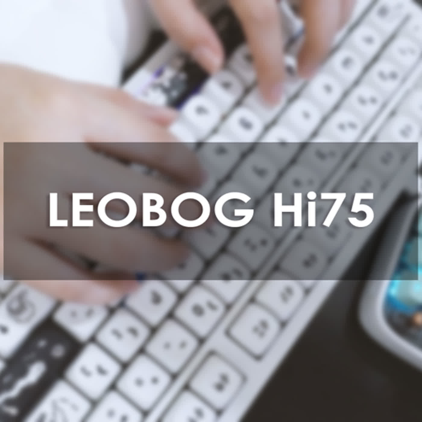 台灣ASMR | LEOBOG Hi75 Typing ASMR | NO Talking