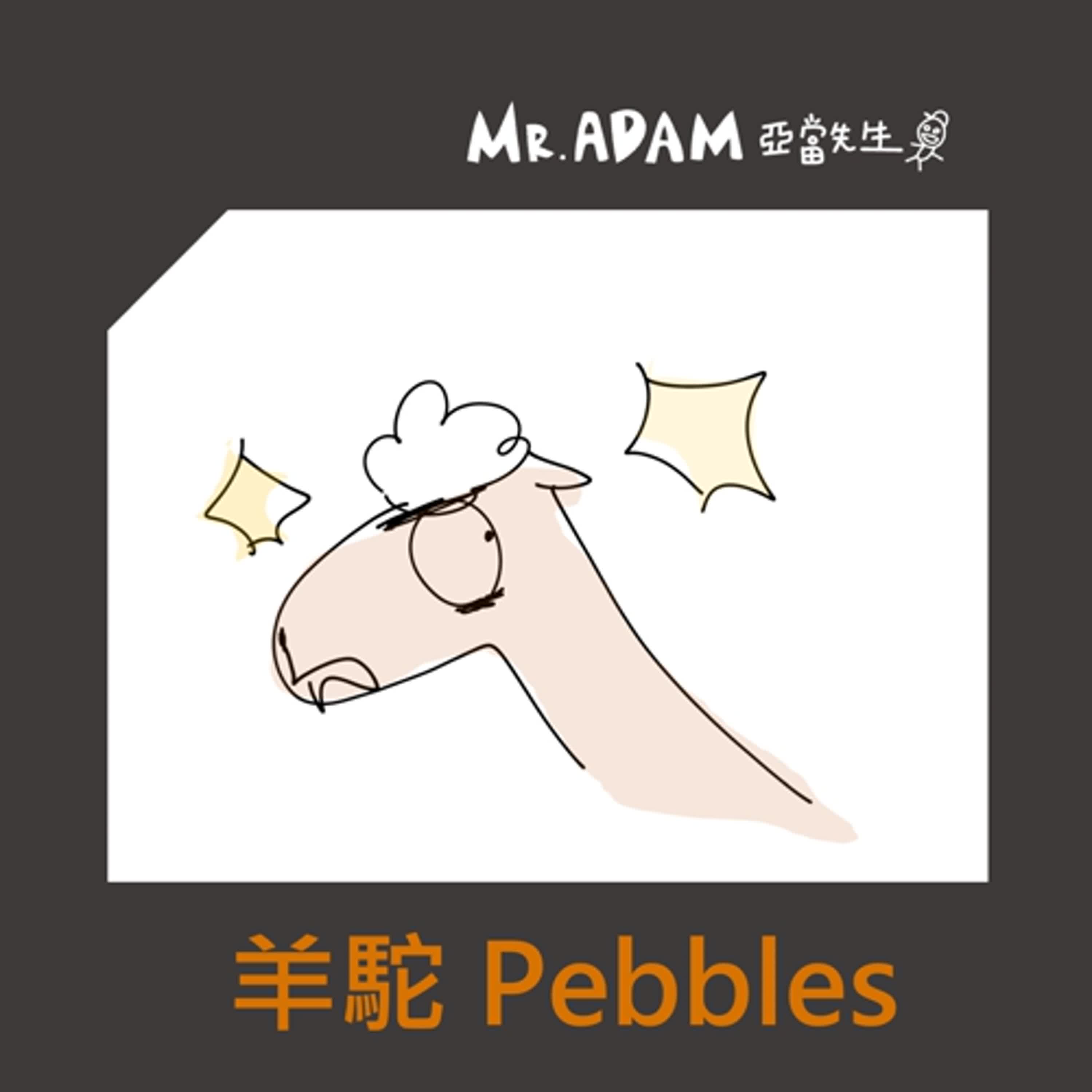 羊駝 Pebbles