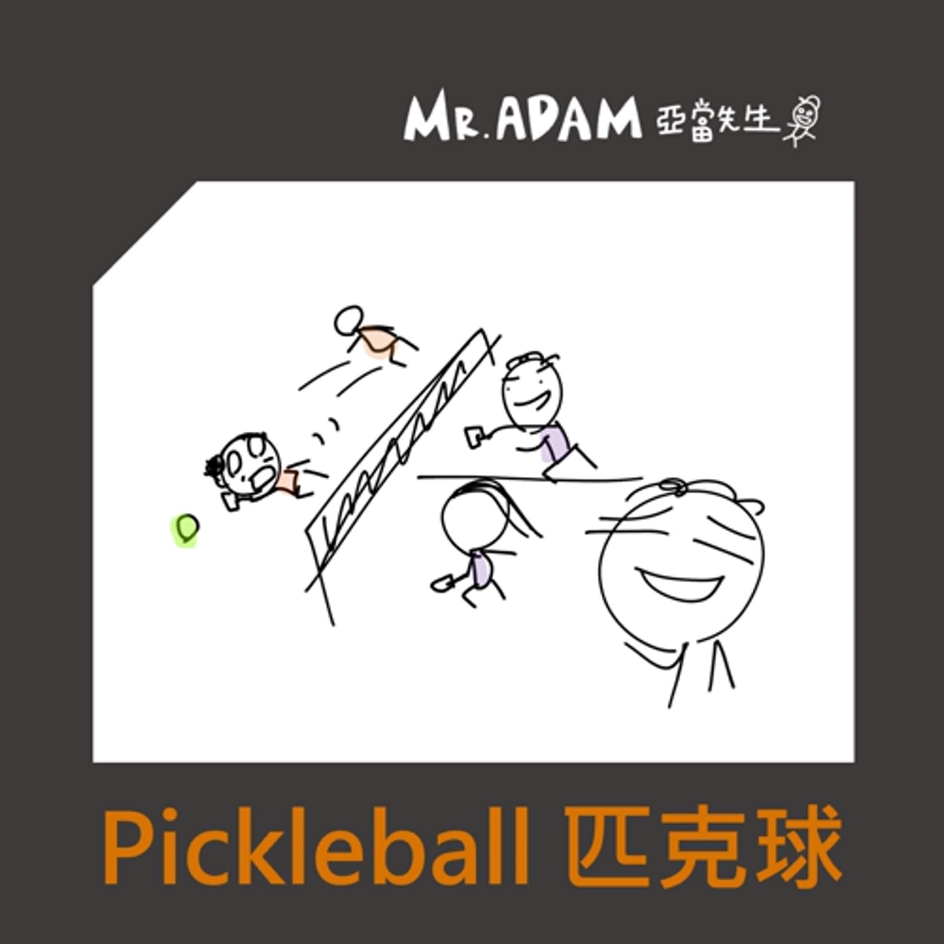 pickleball 匹克球