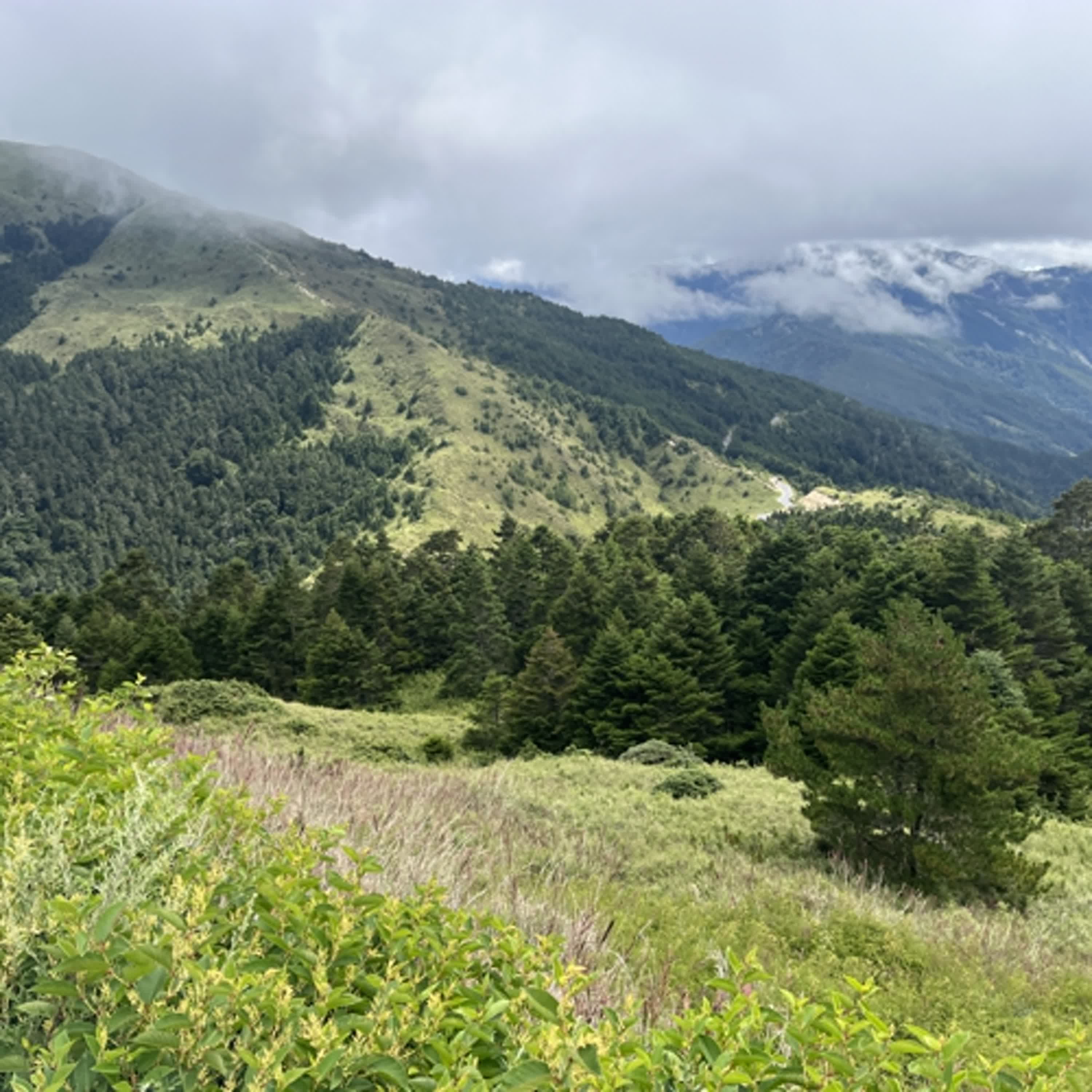Taiwan alpine ecology episode artwork