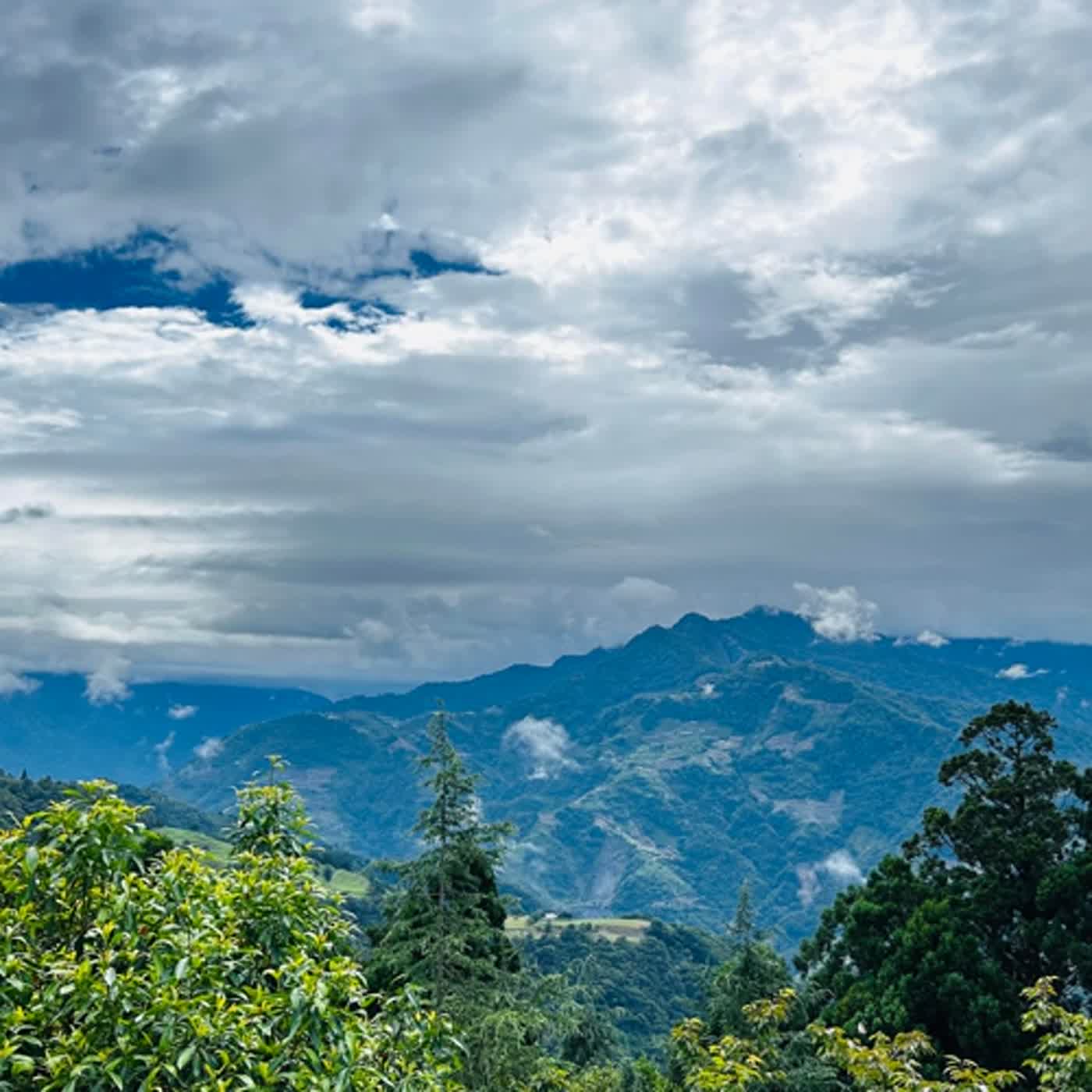 慧馨牧師與你一起讀經：詩篇147台