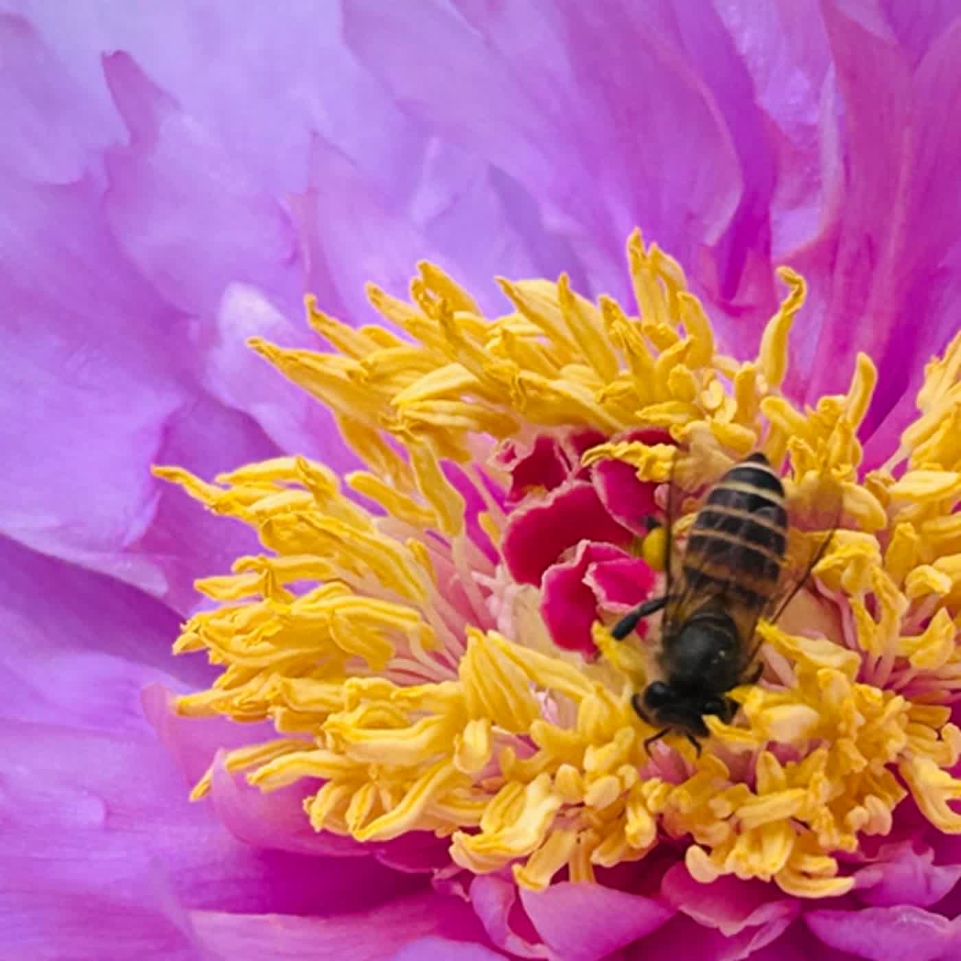 慧馨牧師與你一起讀經：詩篇119:97-104台