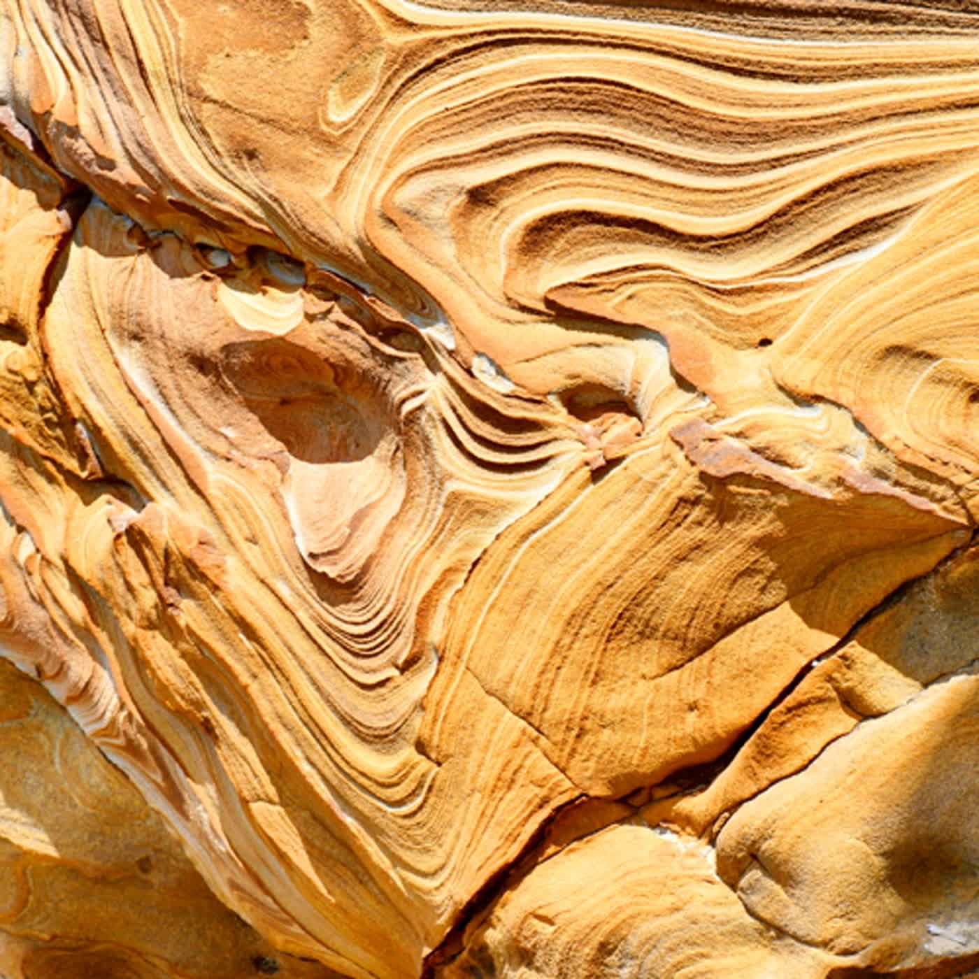 慧馨牧師與你一起讀經：詩篇11華