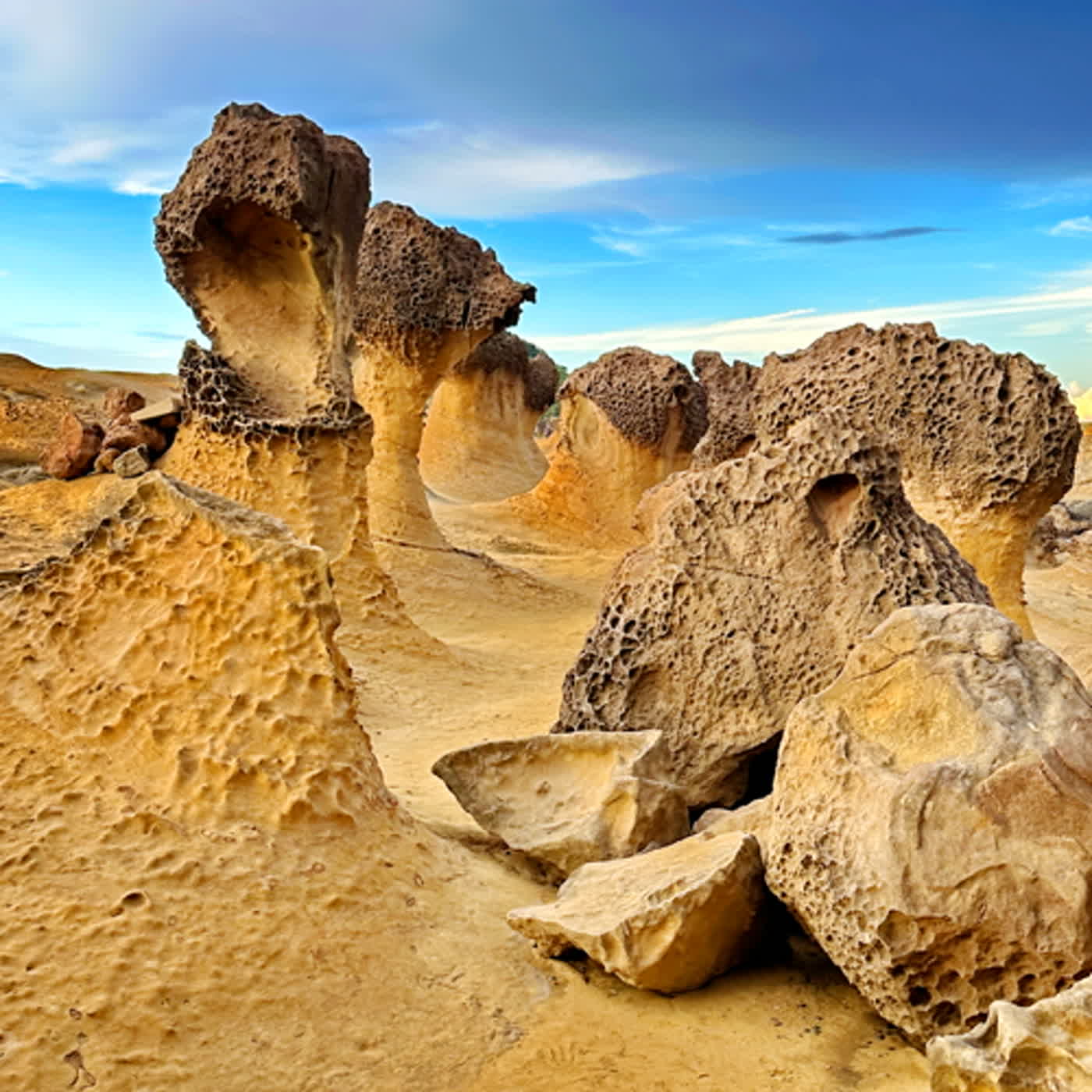 慧馨牧師與你一起讀經：詩篇14華