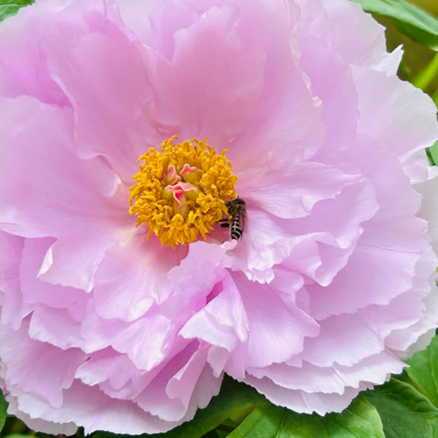 慧馨牧師與你一起讀經：詩篇119:105-112台