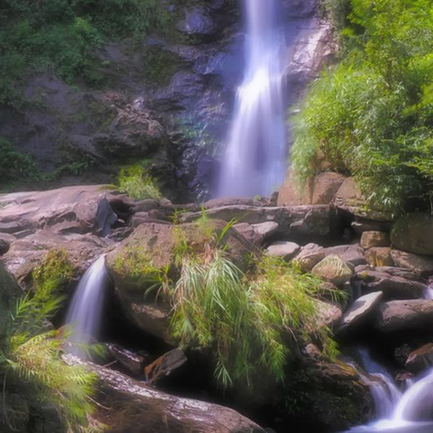 慧馨牧師與你一起讀經：箴言20台