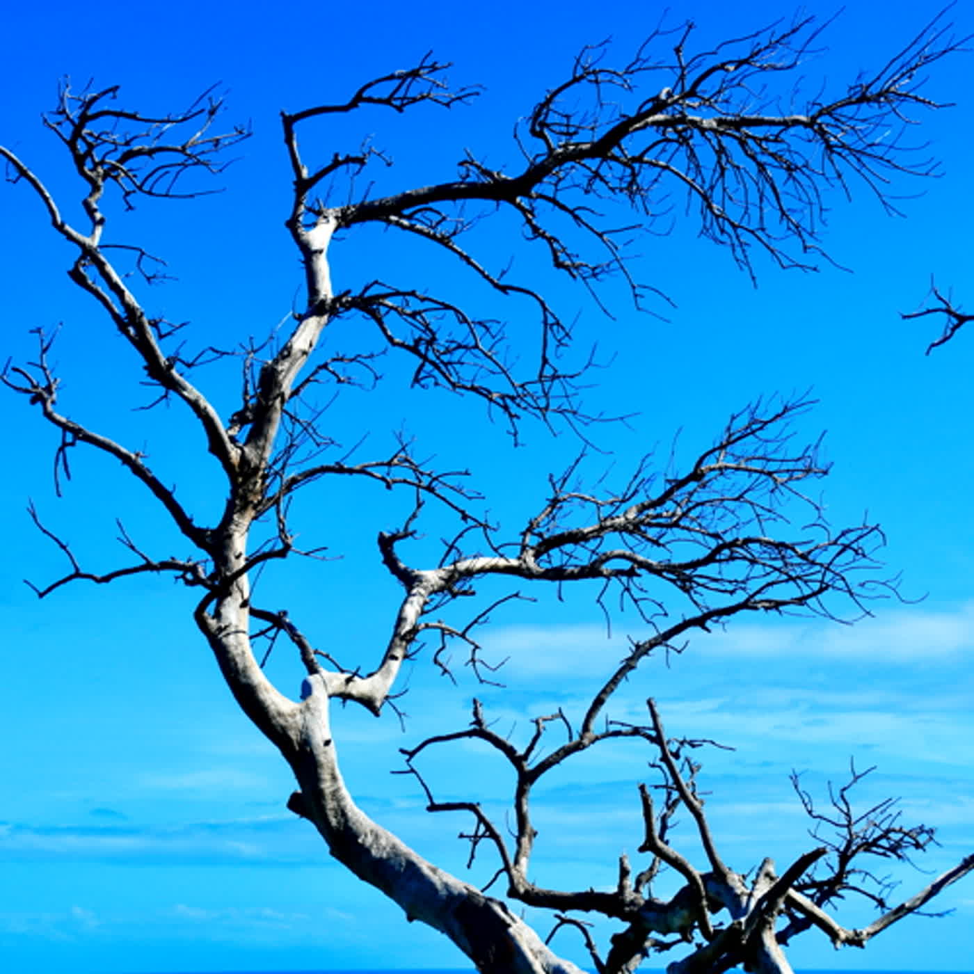 慧馨牧師與你一起讀經：詩篇53台