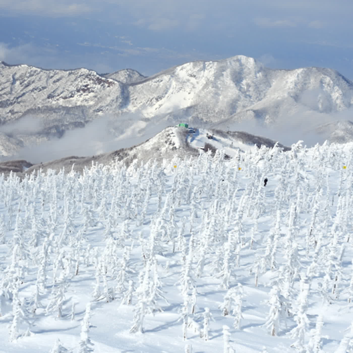 慧馨牧師與你一起讀經：詩篇88台