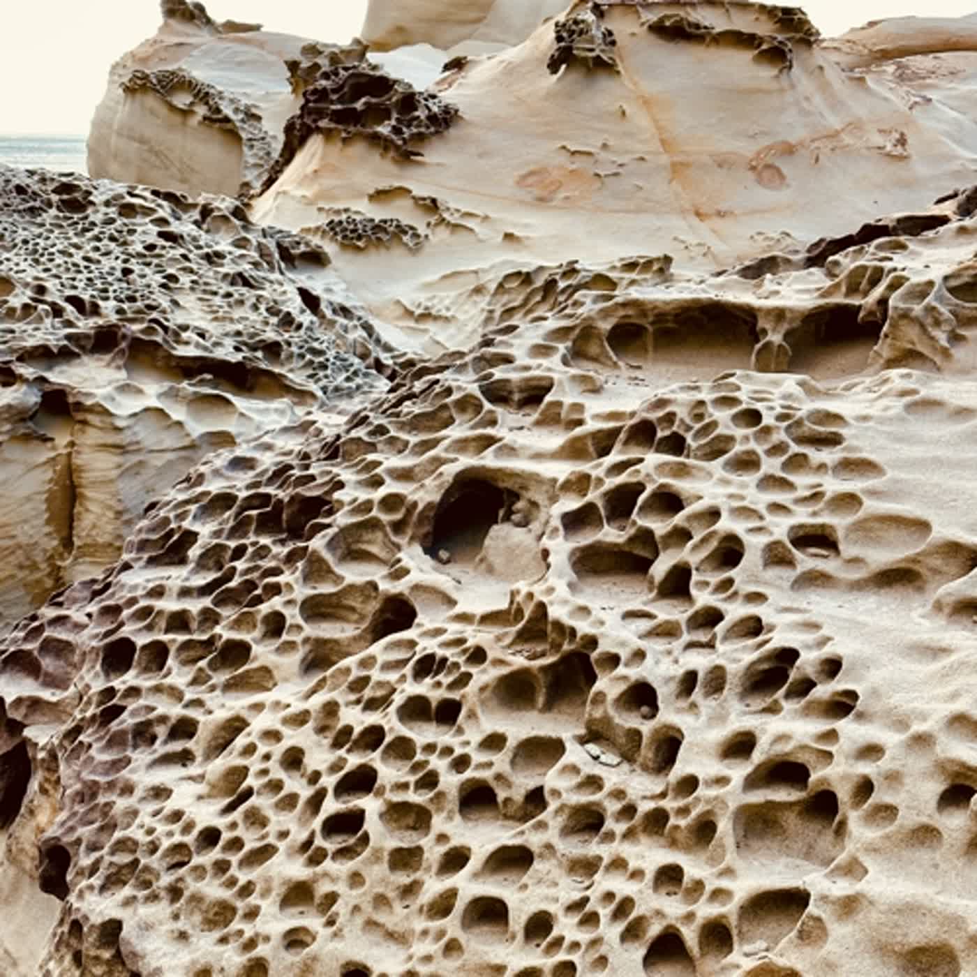 慧馨牧師與你一起讀經：詩篇37:23-40台