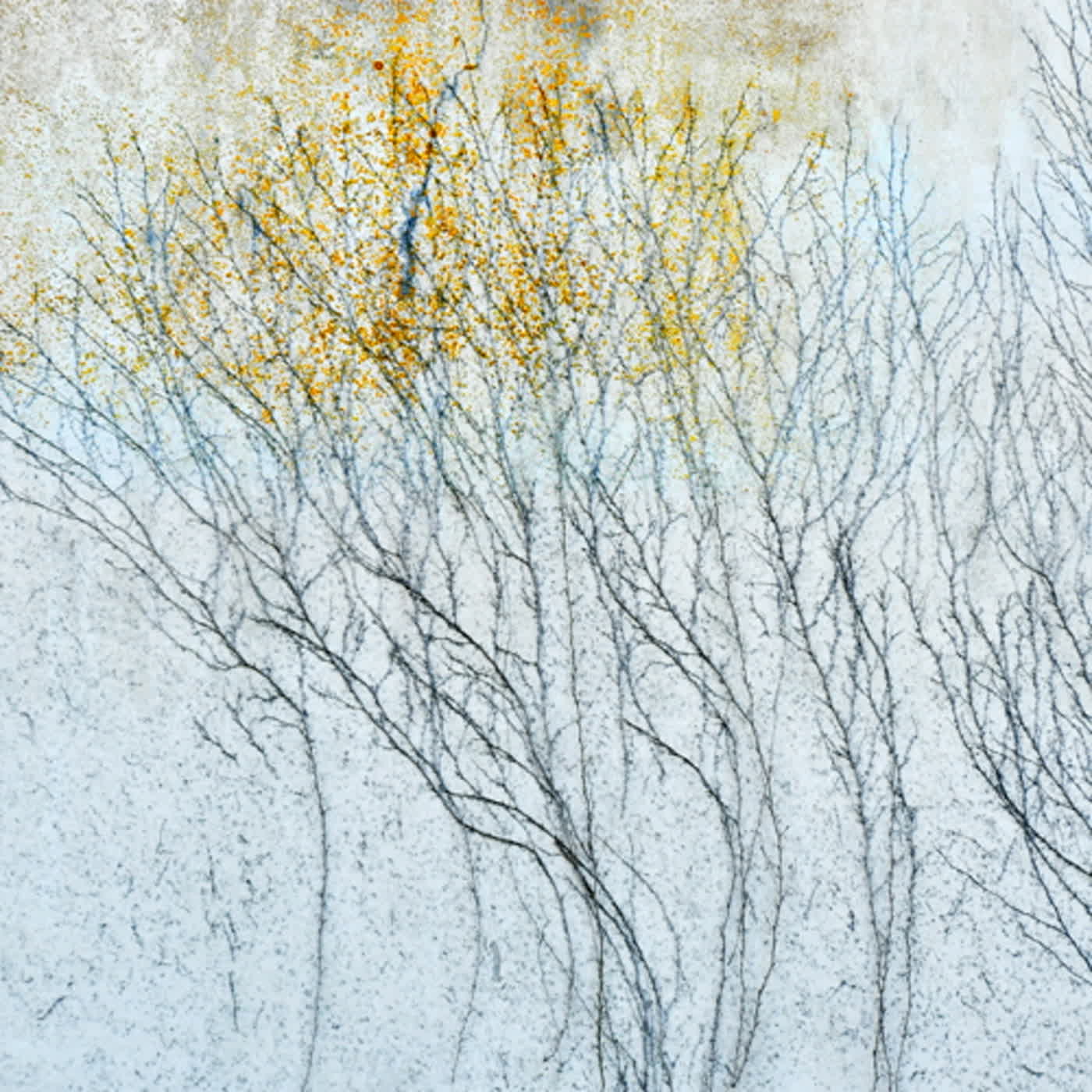 慧馨牧師與你一起讀經：詩篇48台