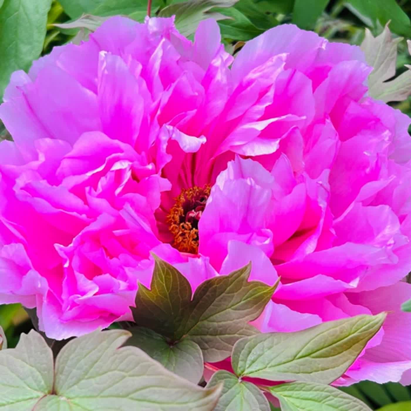 慧馨牧師與你一起讀經：詩篇119:25-32台