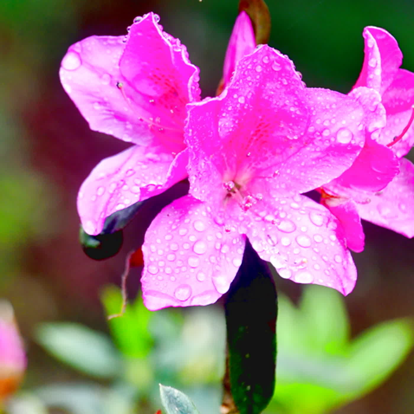 慧馨牧師與你一起讀經：詩篇62台