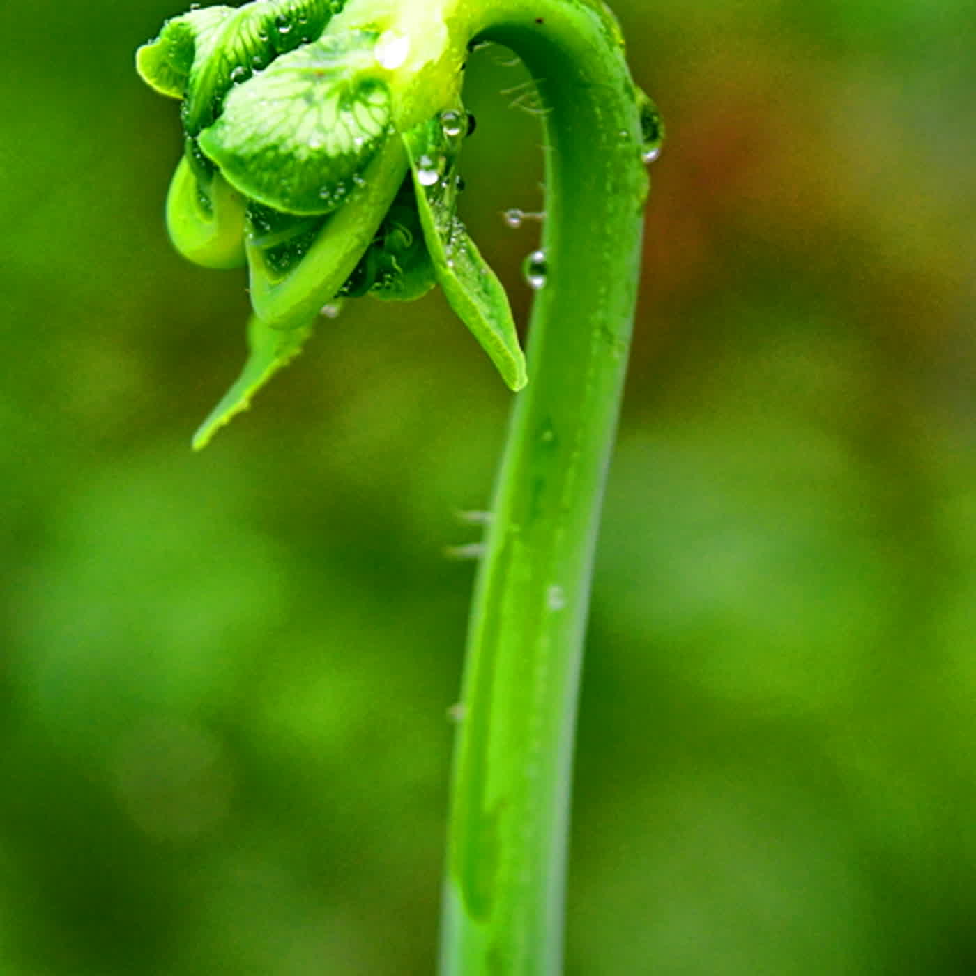 慧馨牧師與你一起讀經：詩篇47華