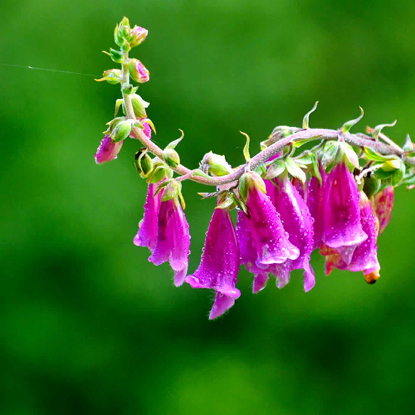 慧馨牧師與你一起讀經：詩篇63台