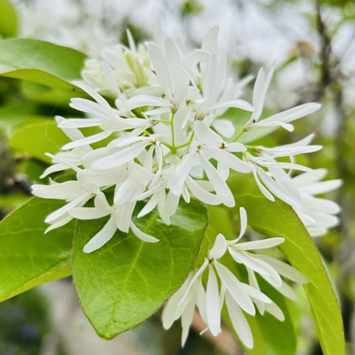 慧馨牧師與你一起讀經：詩篇92華