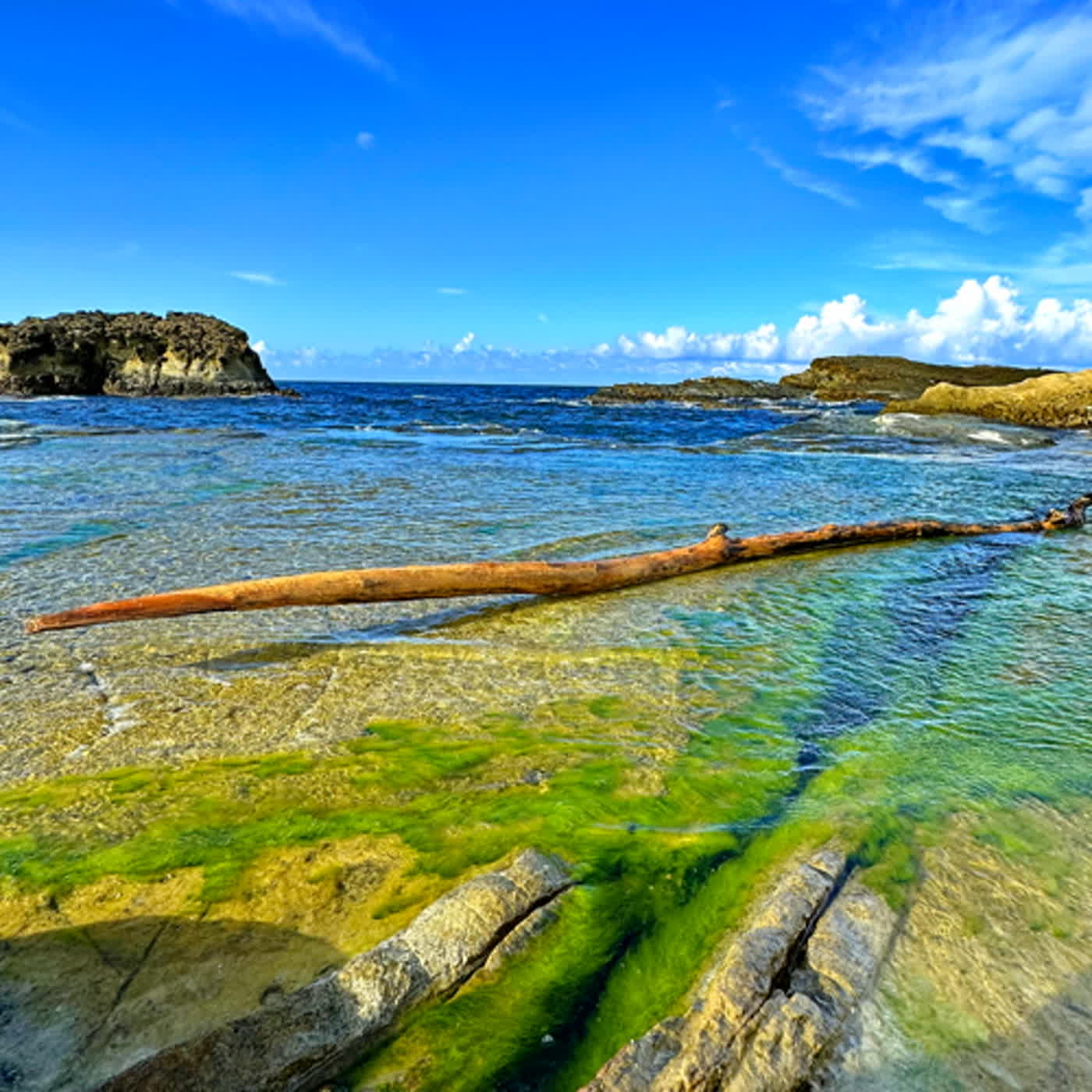 慧馨牧師與你一起讀經：詩篇67台