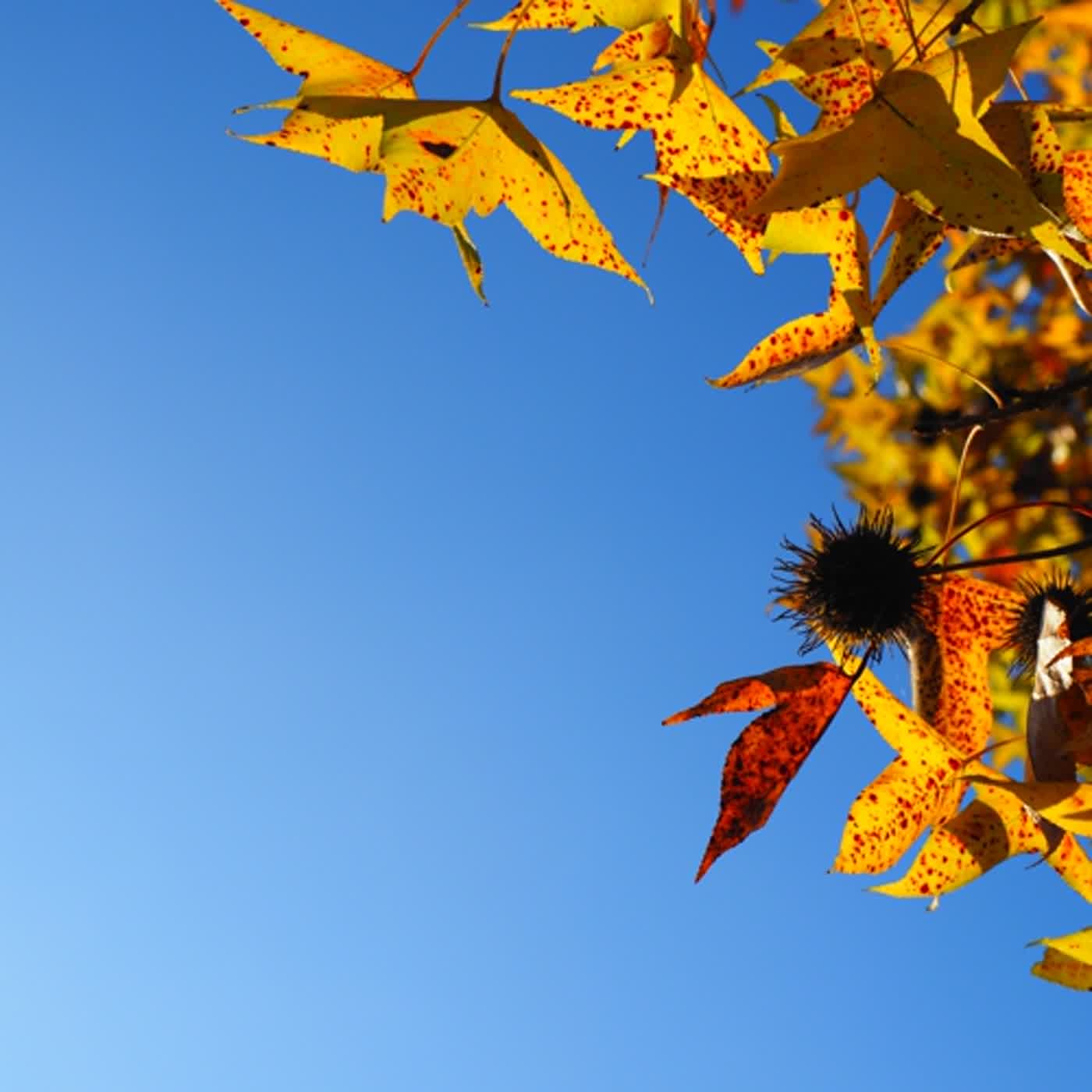 慧馨牧師與你一起讀經：箴言3台