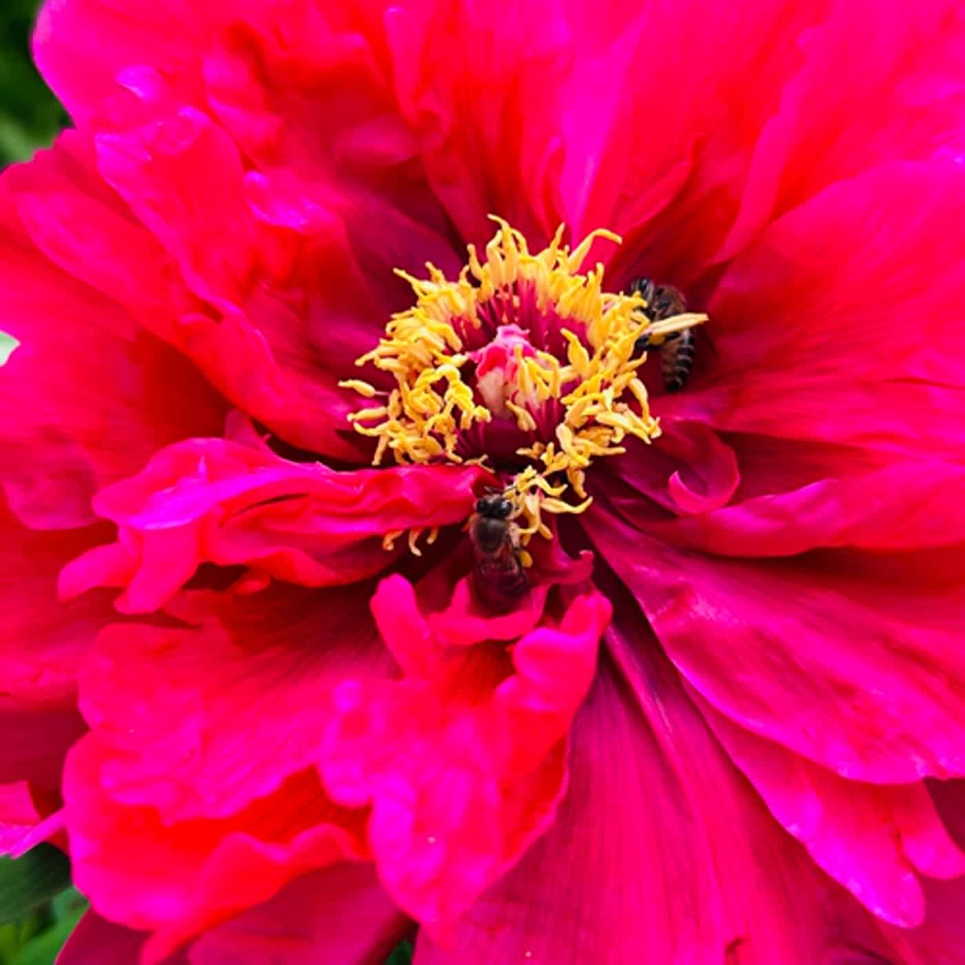 慧馨牧師與你一起讀經：詩篇125台